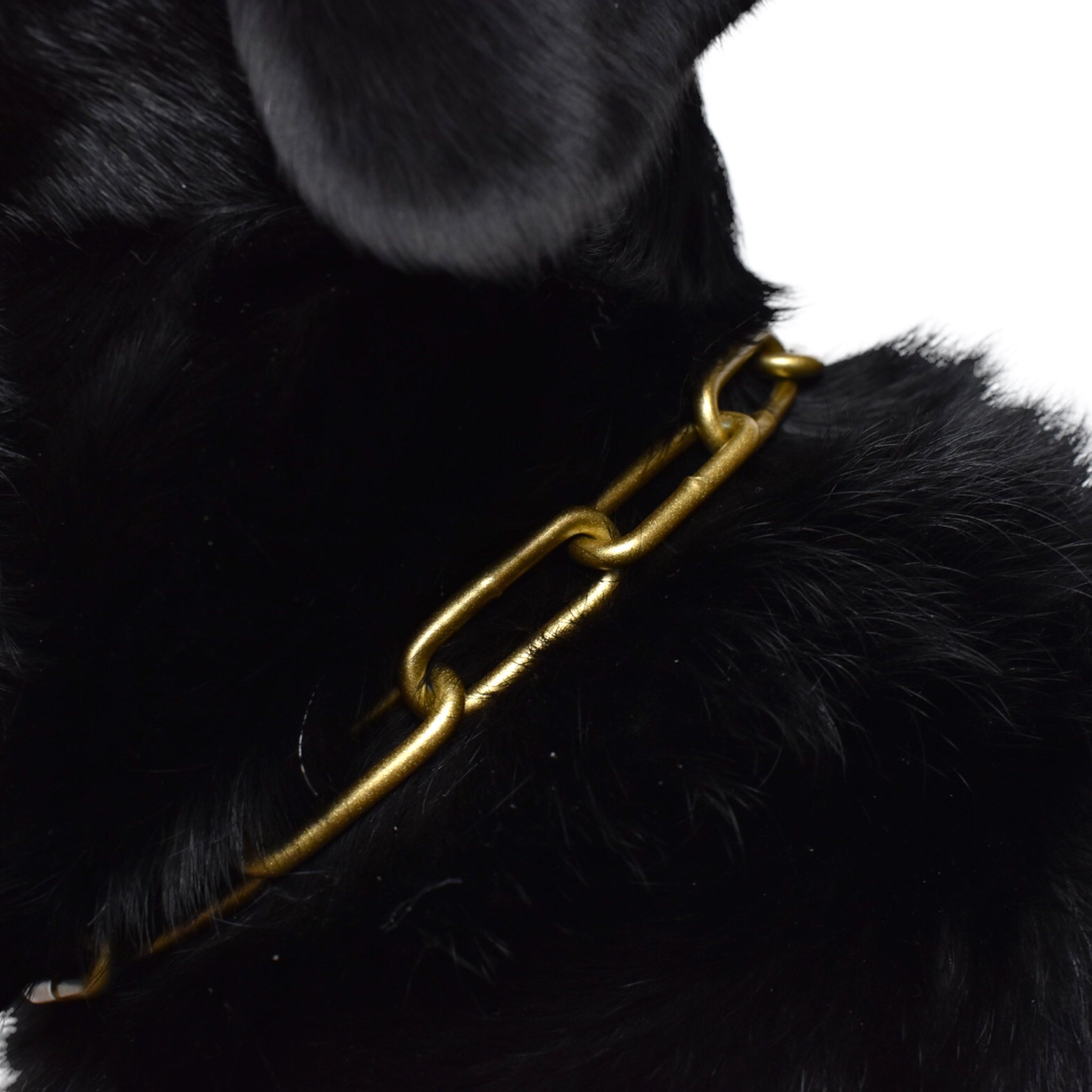 BACO DOG GEAR