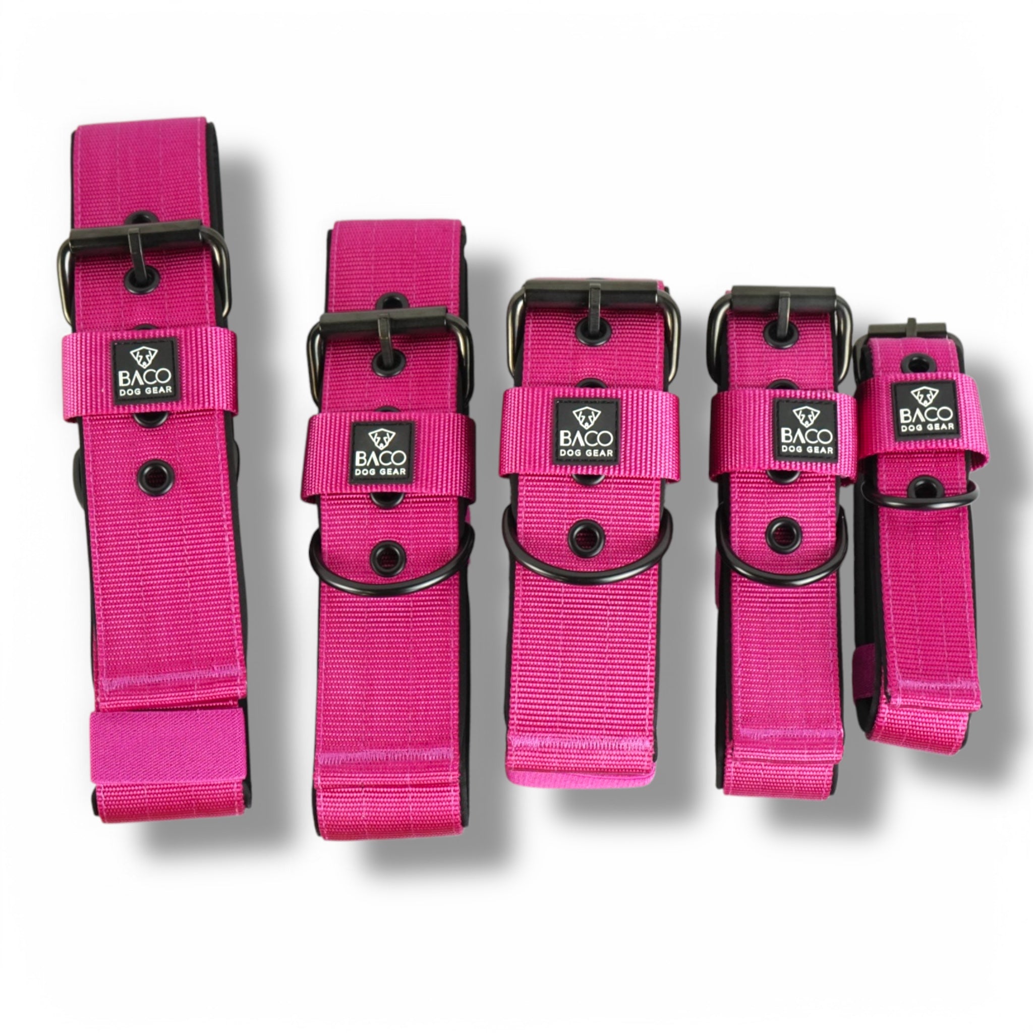 BACO DOG GEAR