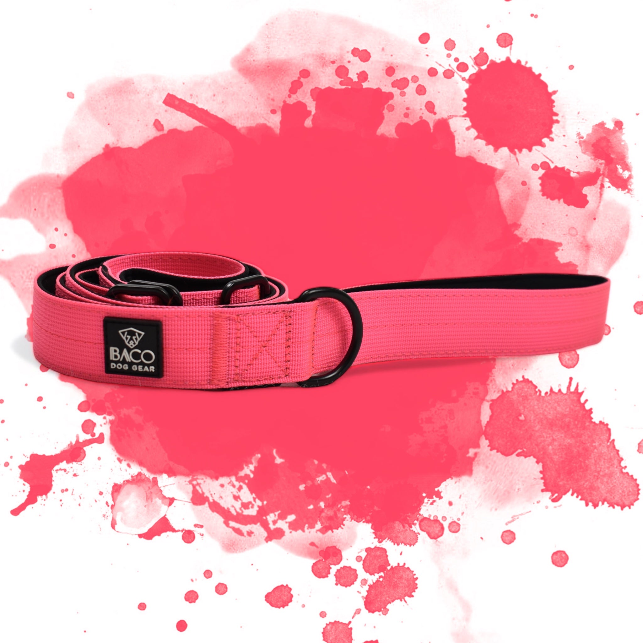 BACO DOG GEAR