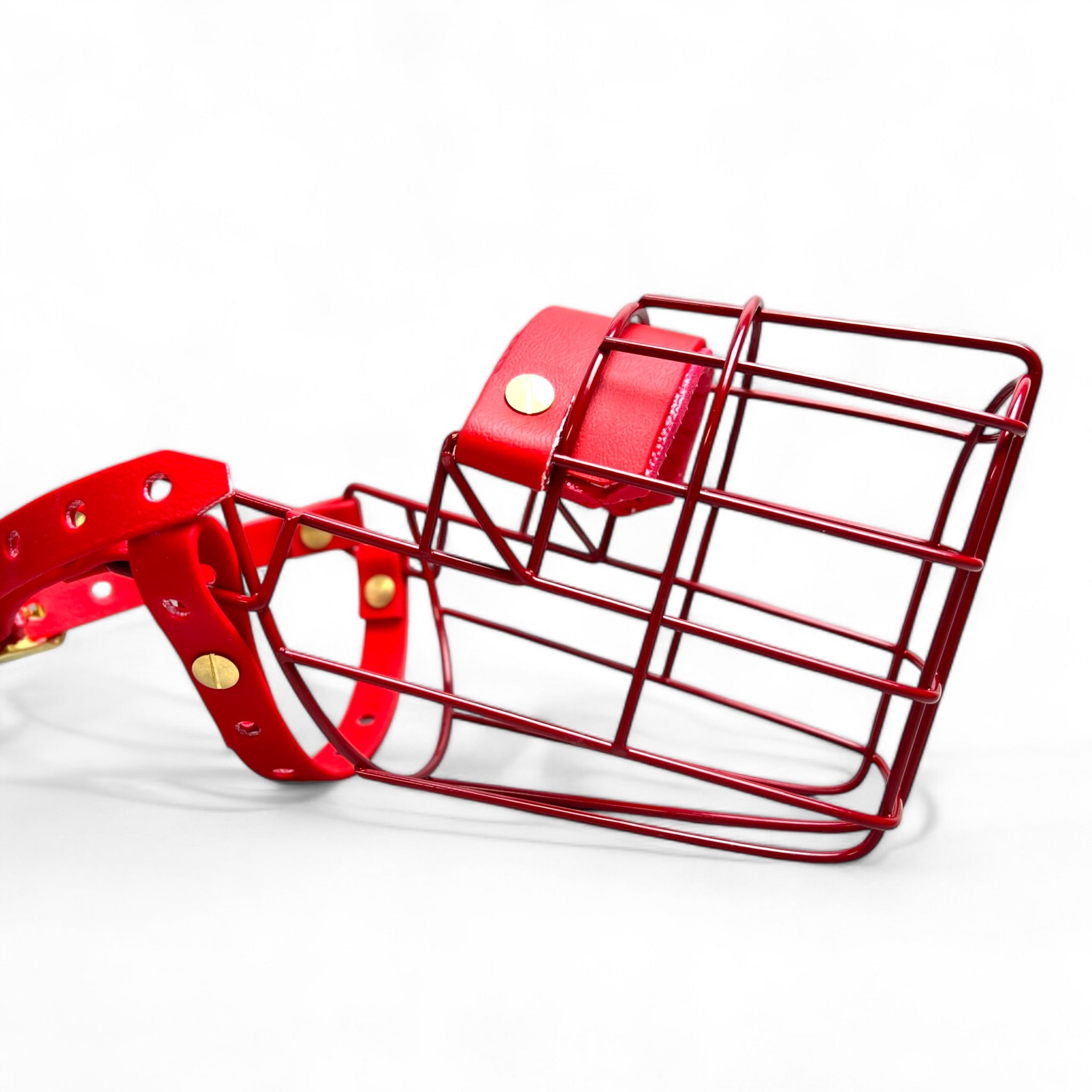 BACO DOG GEAR