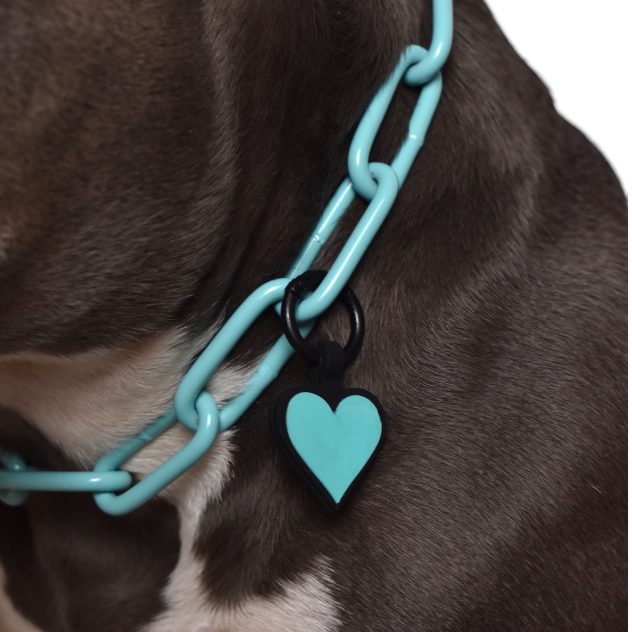 BACO DOG GEAR