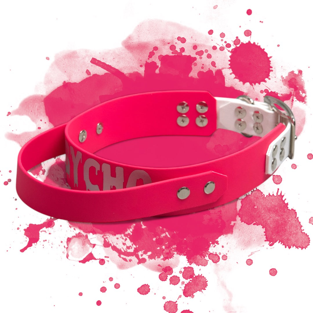 BACO DOG GEAR