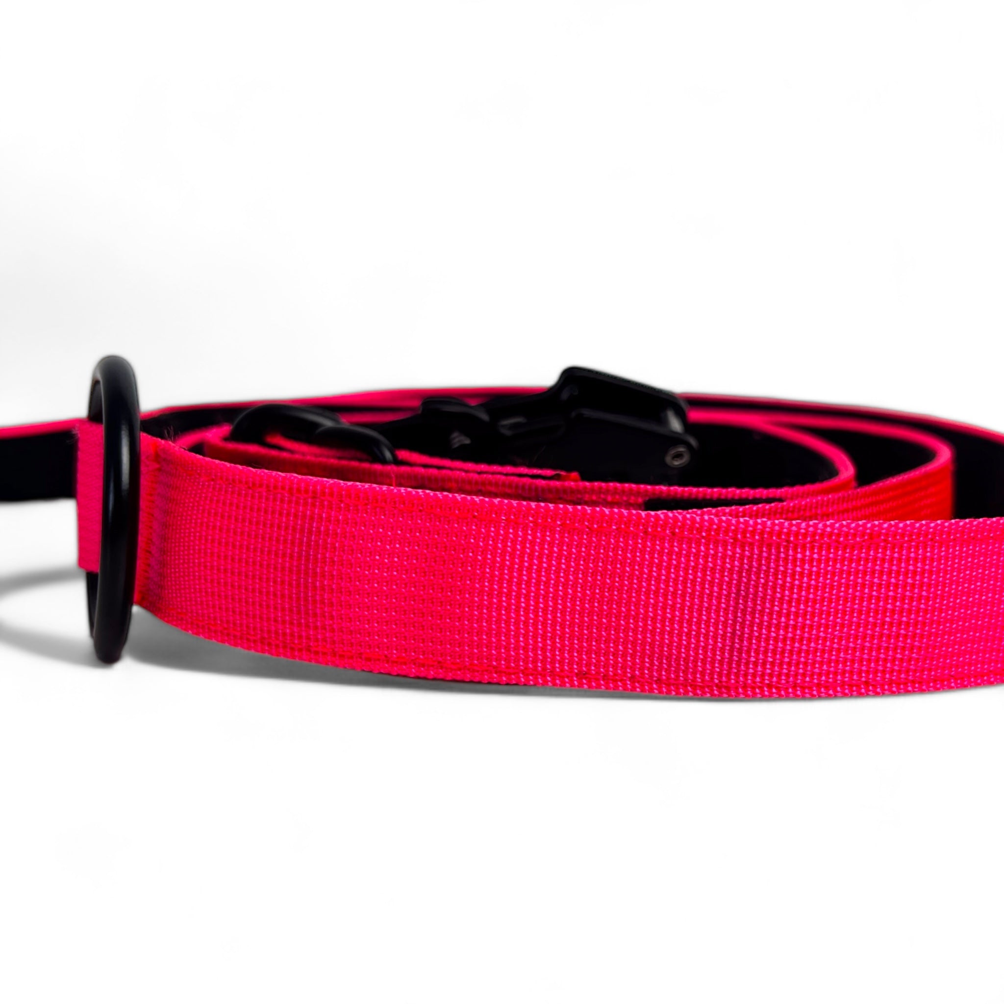 BACO DOG GEAR