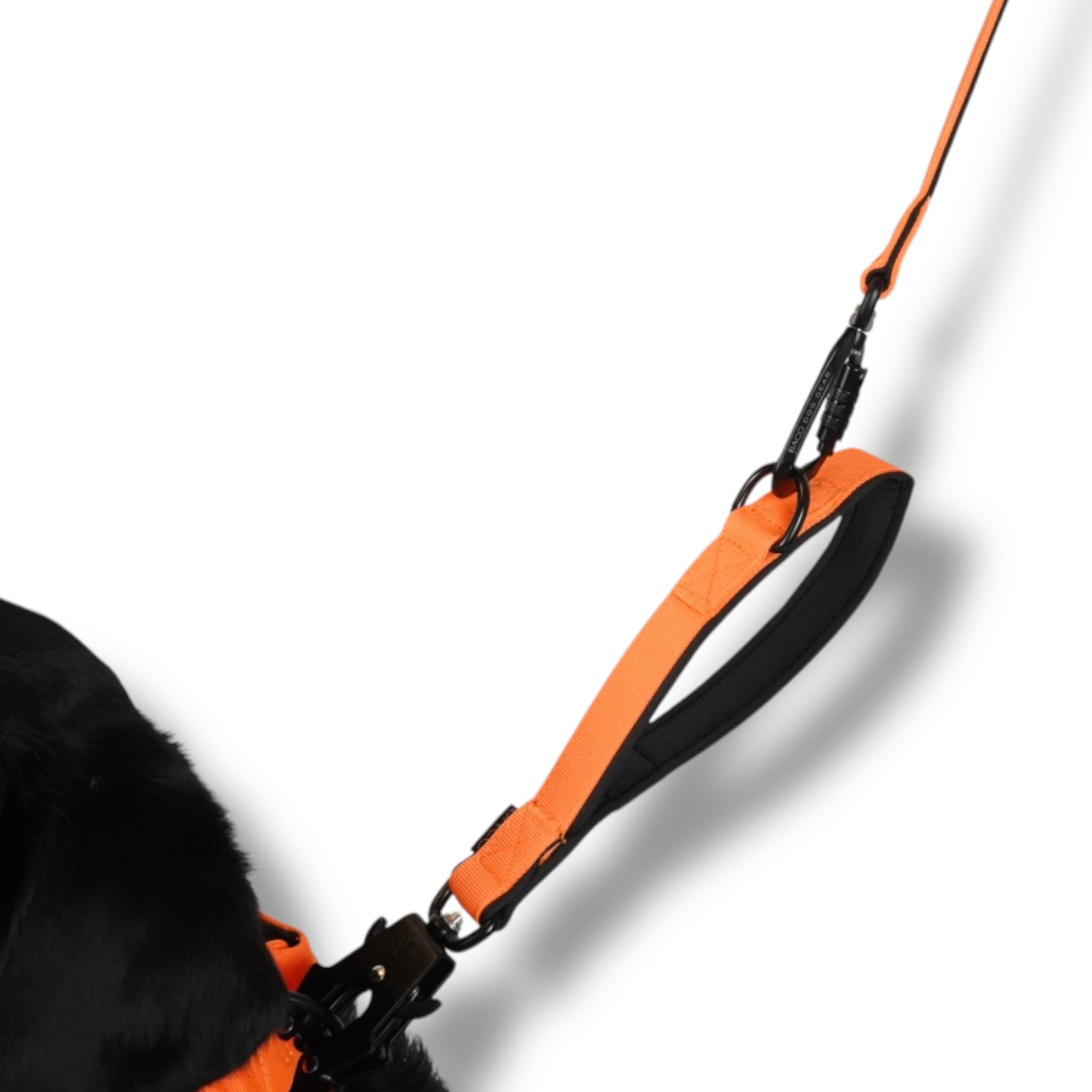 BACO DOG GEAR