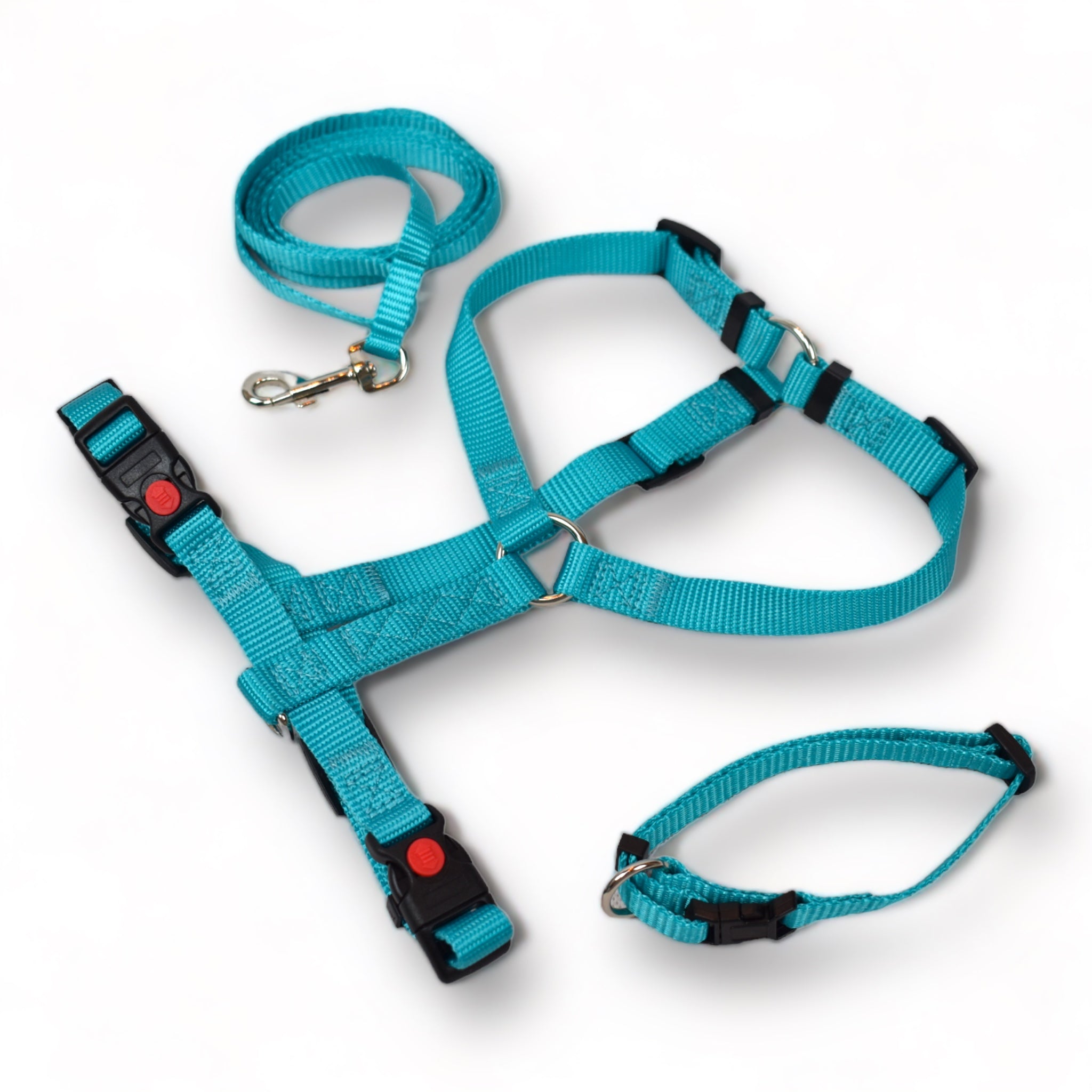 BACO DOG GEAR