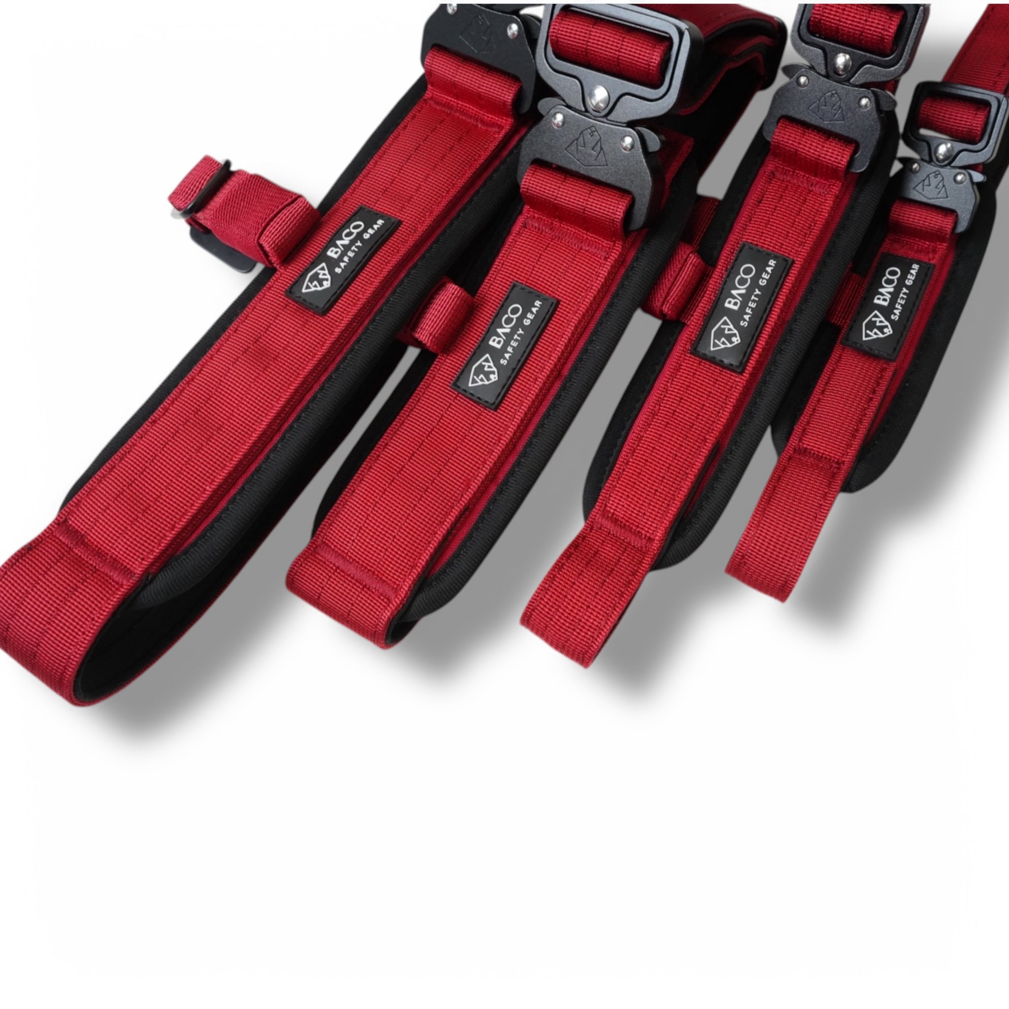 BACO DOG GEAR