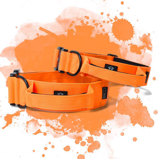 Hundehalsband BACO NEONORANGE