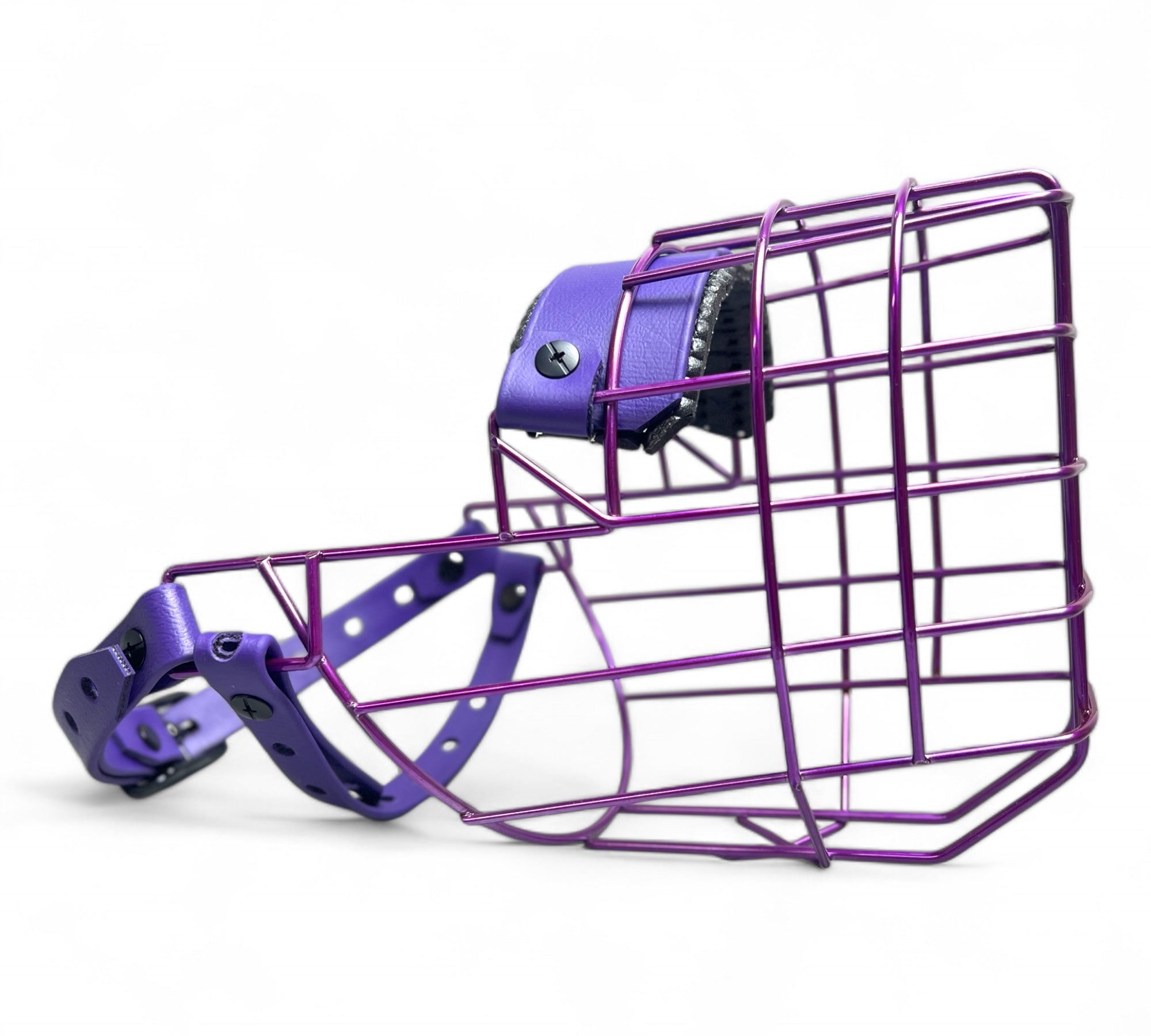 BACO DOG GEAR