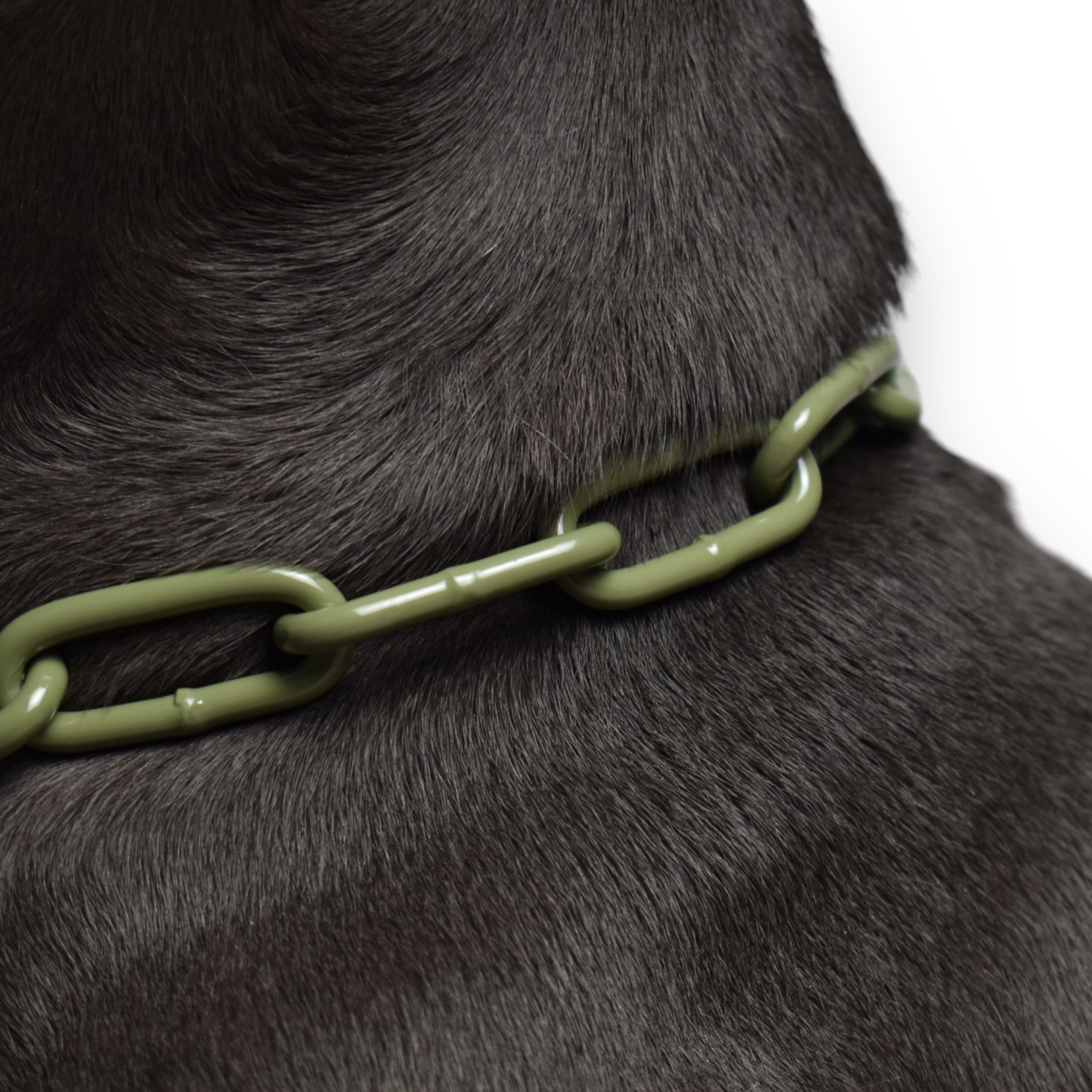 BACO DOG GEAR