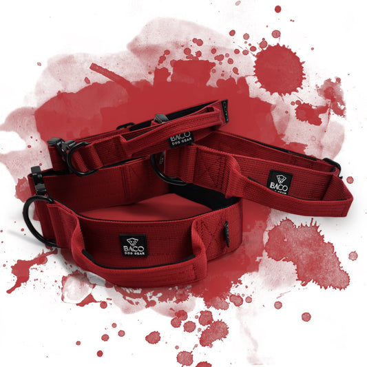 Hundehalsband BACO Bordeaux Red