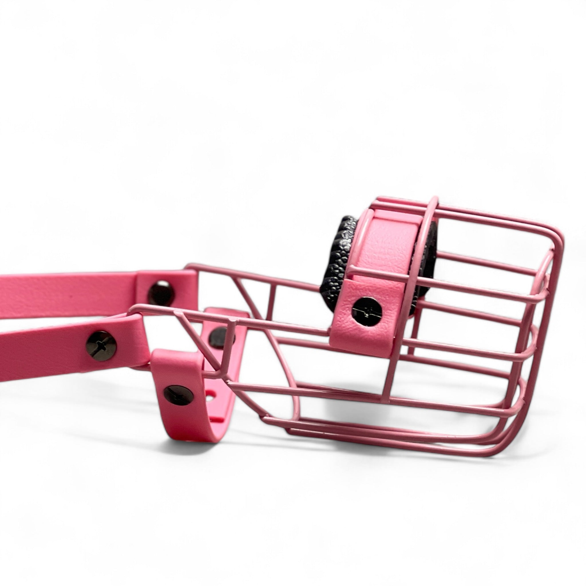 BACO DOG GEAR