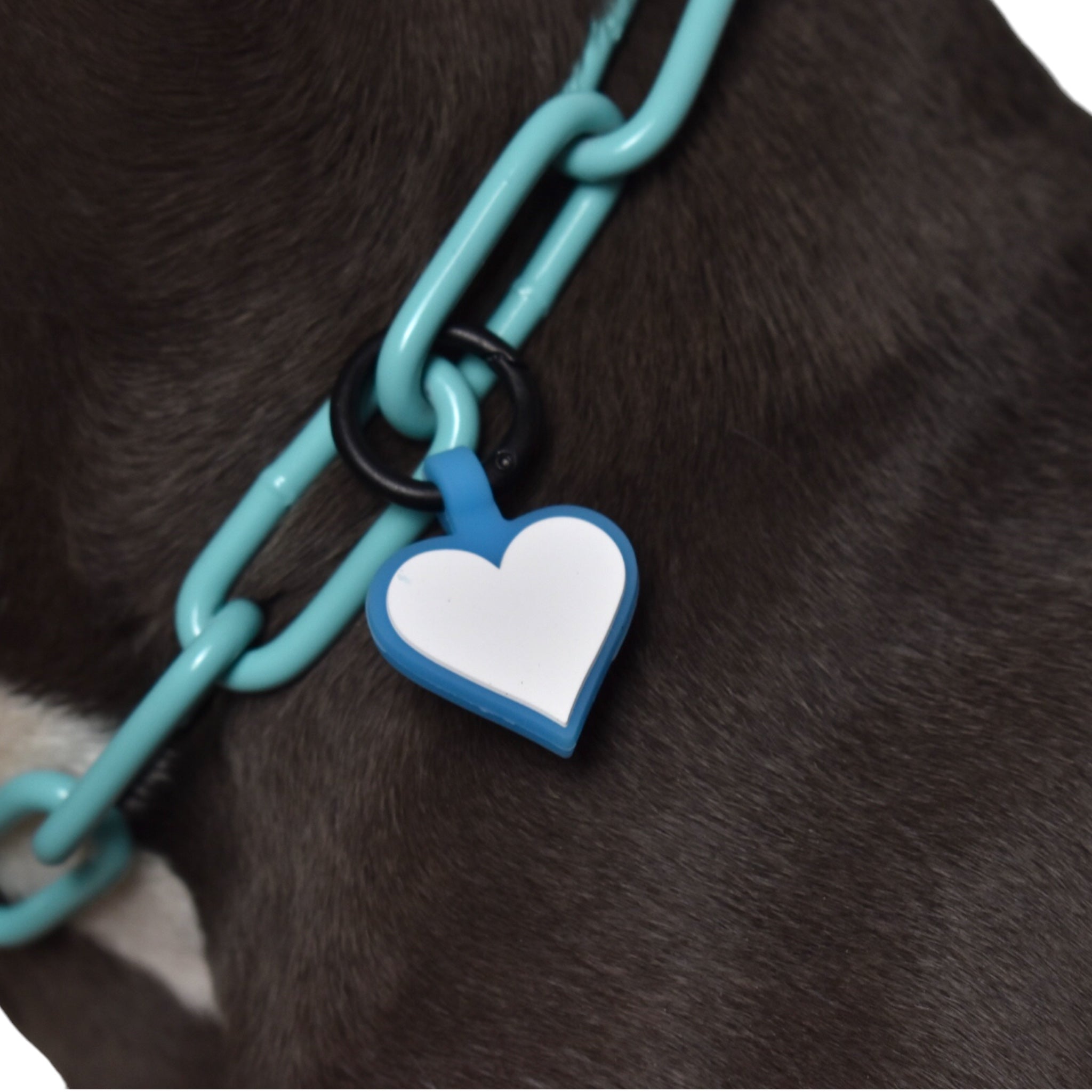 BACO DOG GEAR