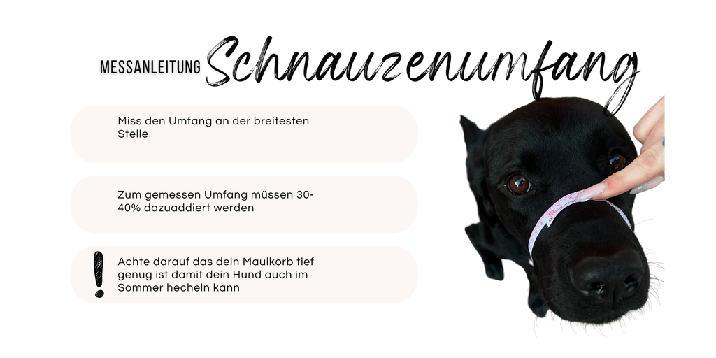 BACO DOG GEAR