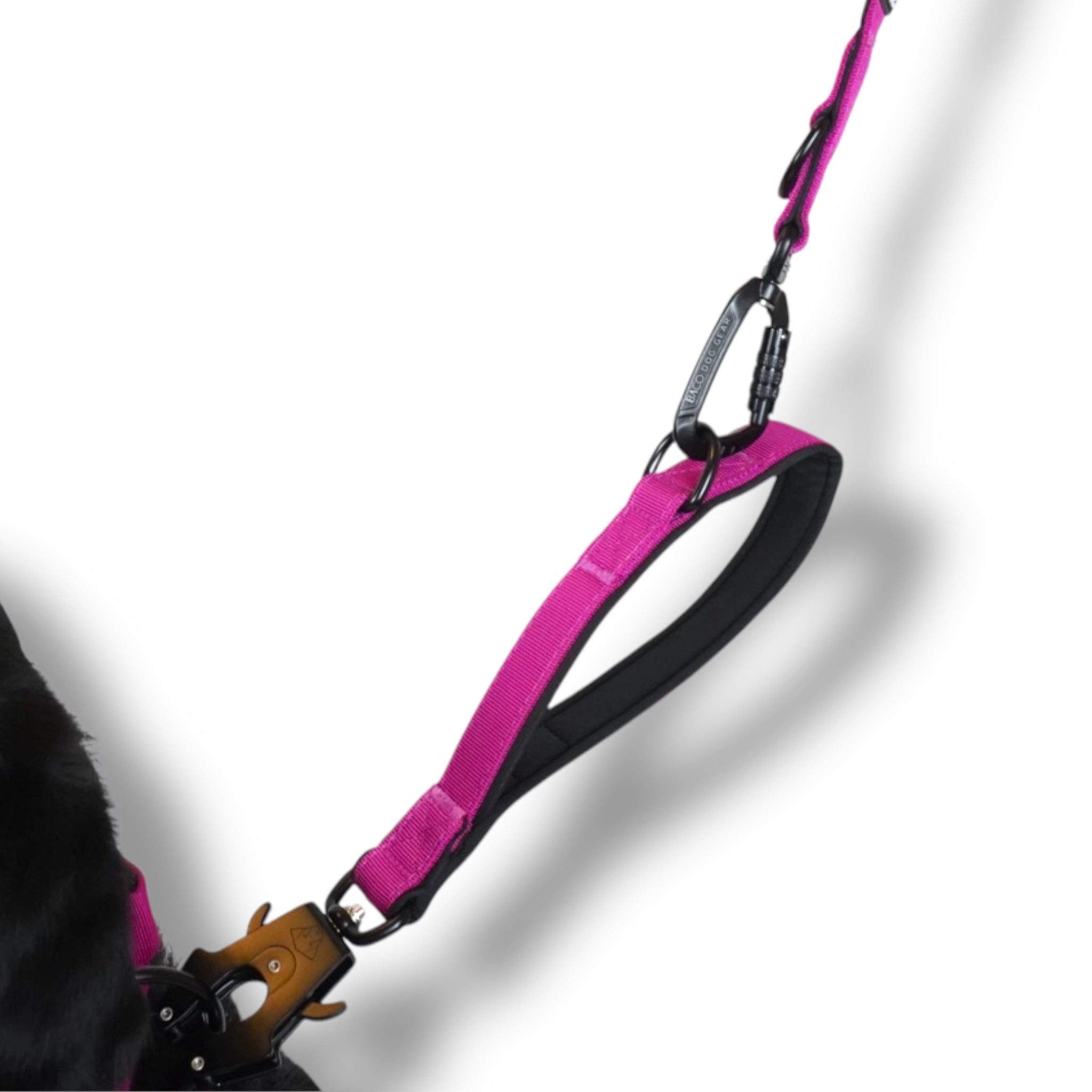 BACO DOG GEAR