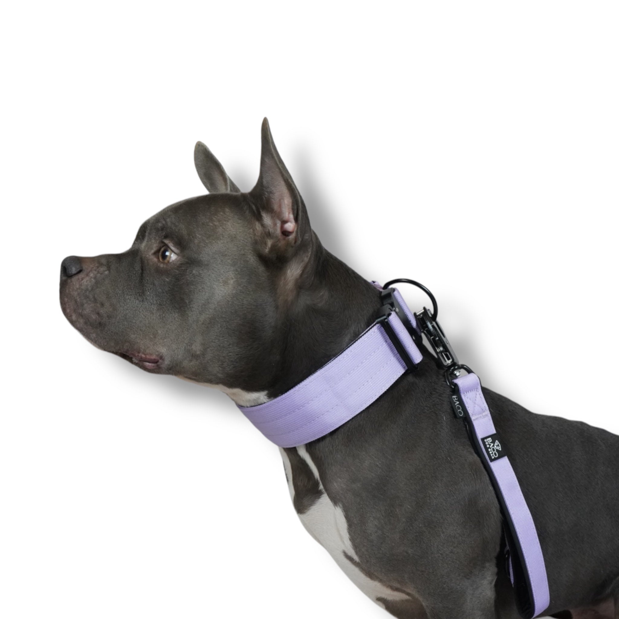 BACO DOG GEAR