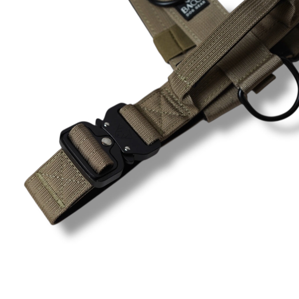 BACO DOG GEAR