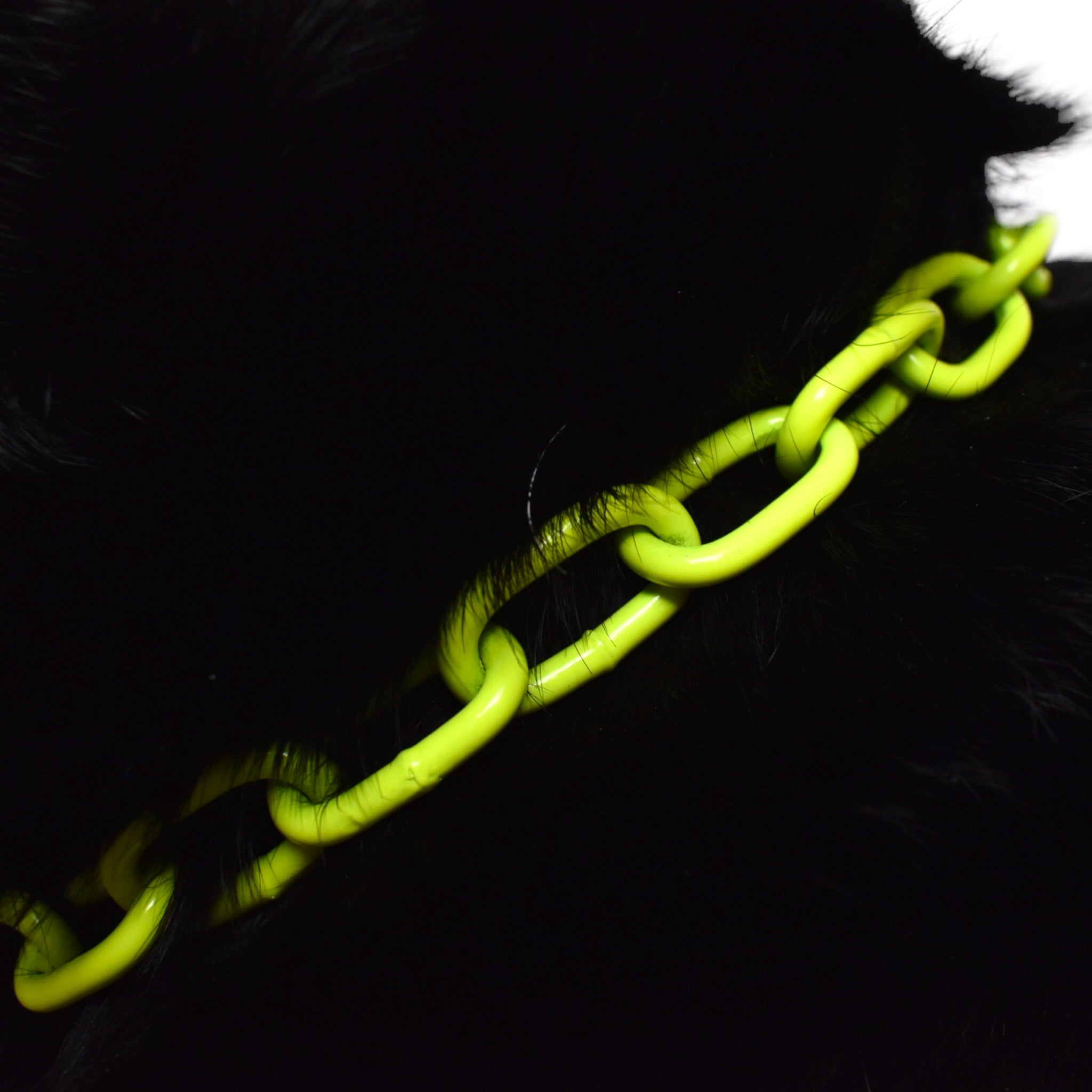 BACO DOG GEAR