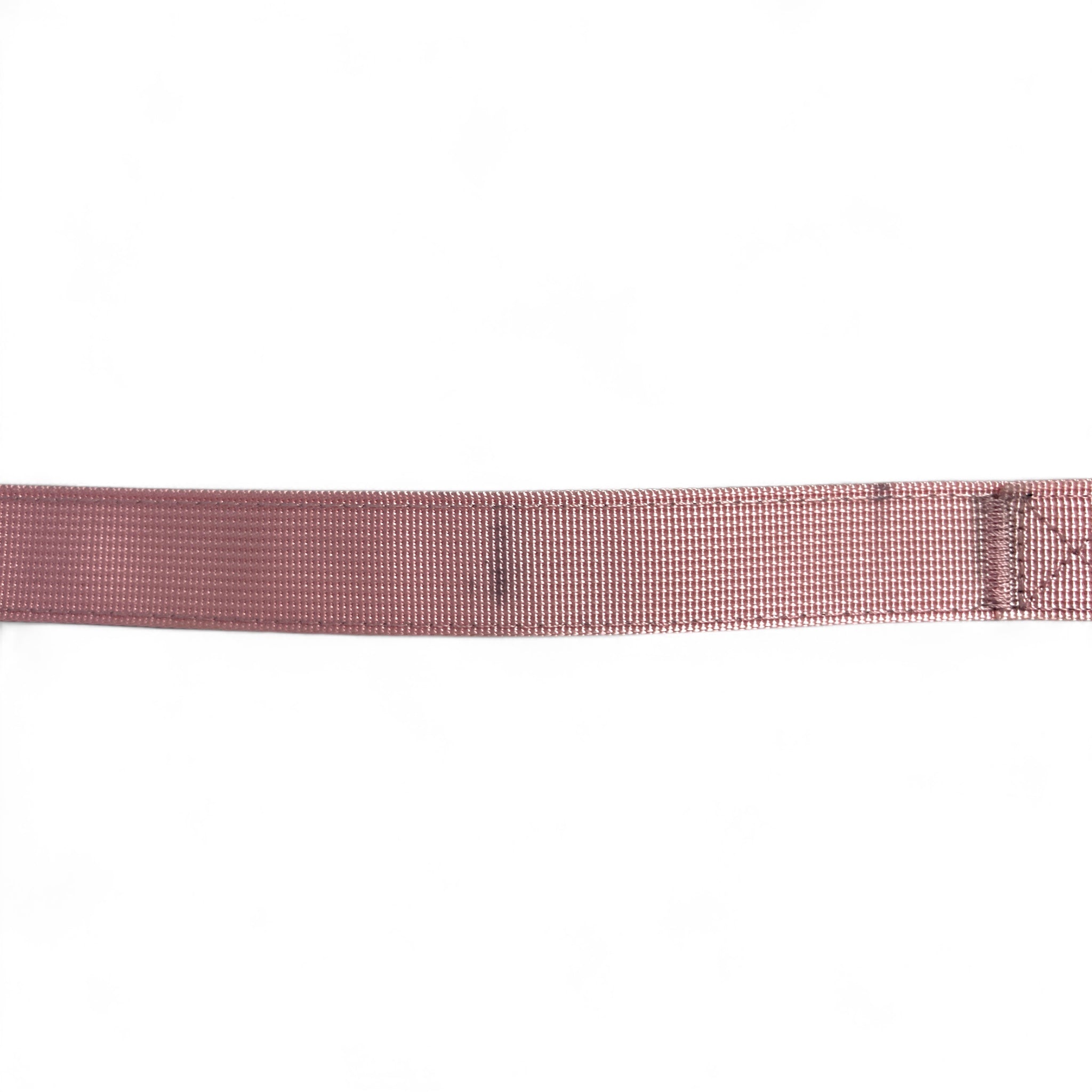 BACO DOG GEAR