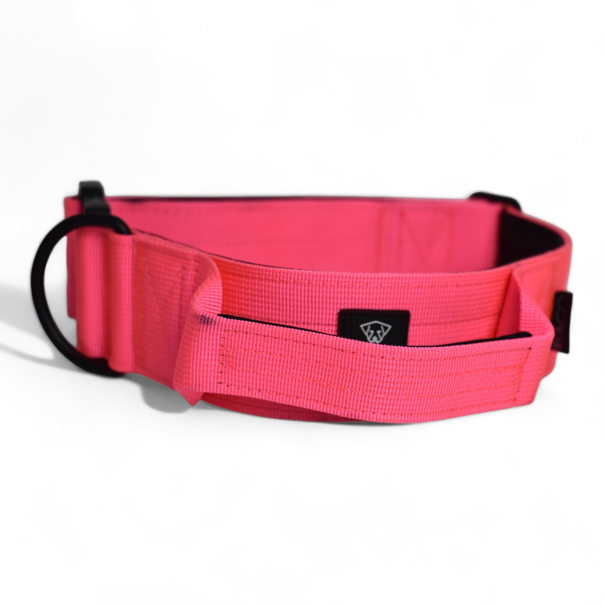 BACO DOG GEAR