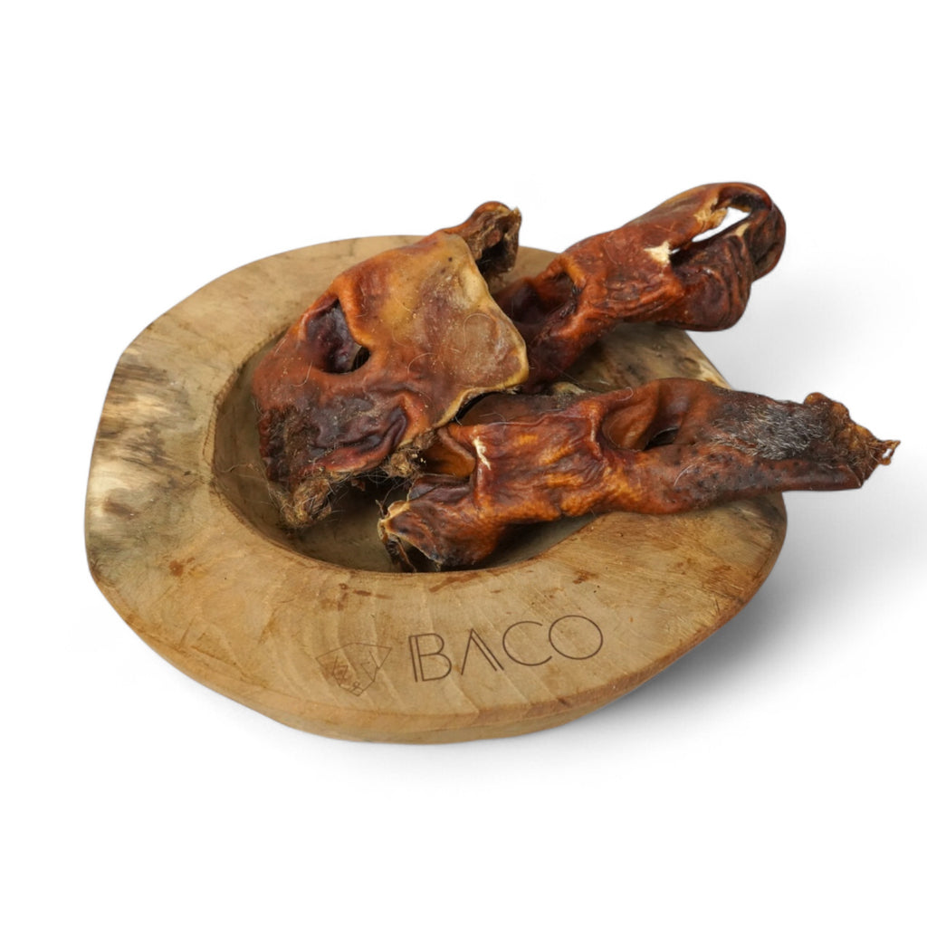 BACO DOG GEAR