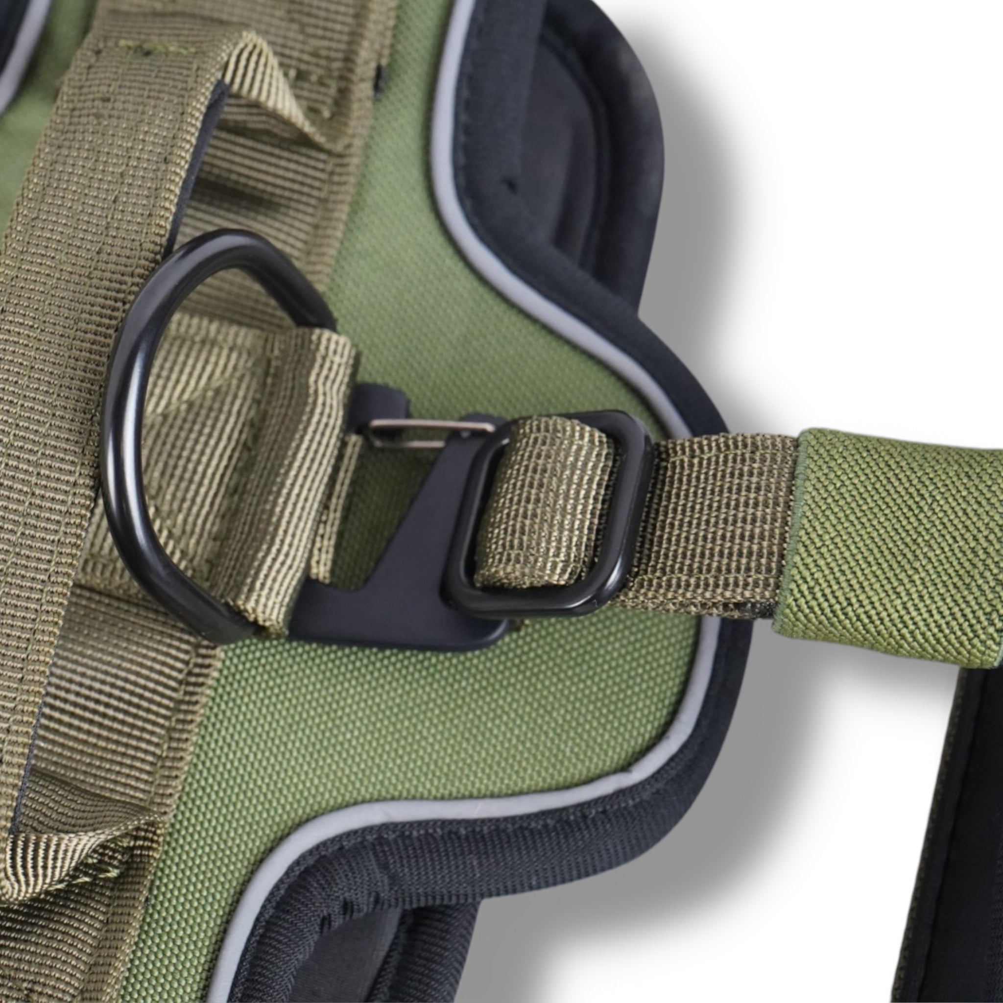 BACO DOG GEAR