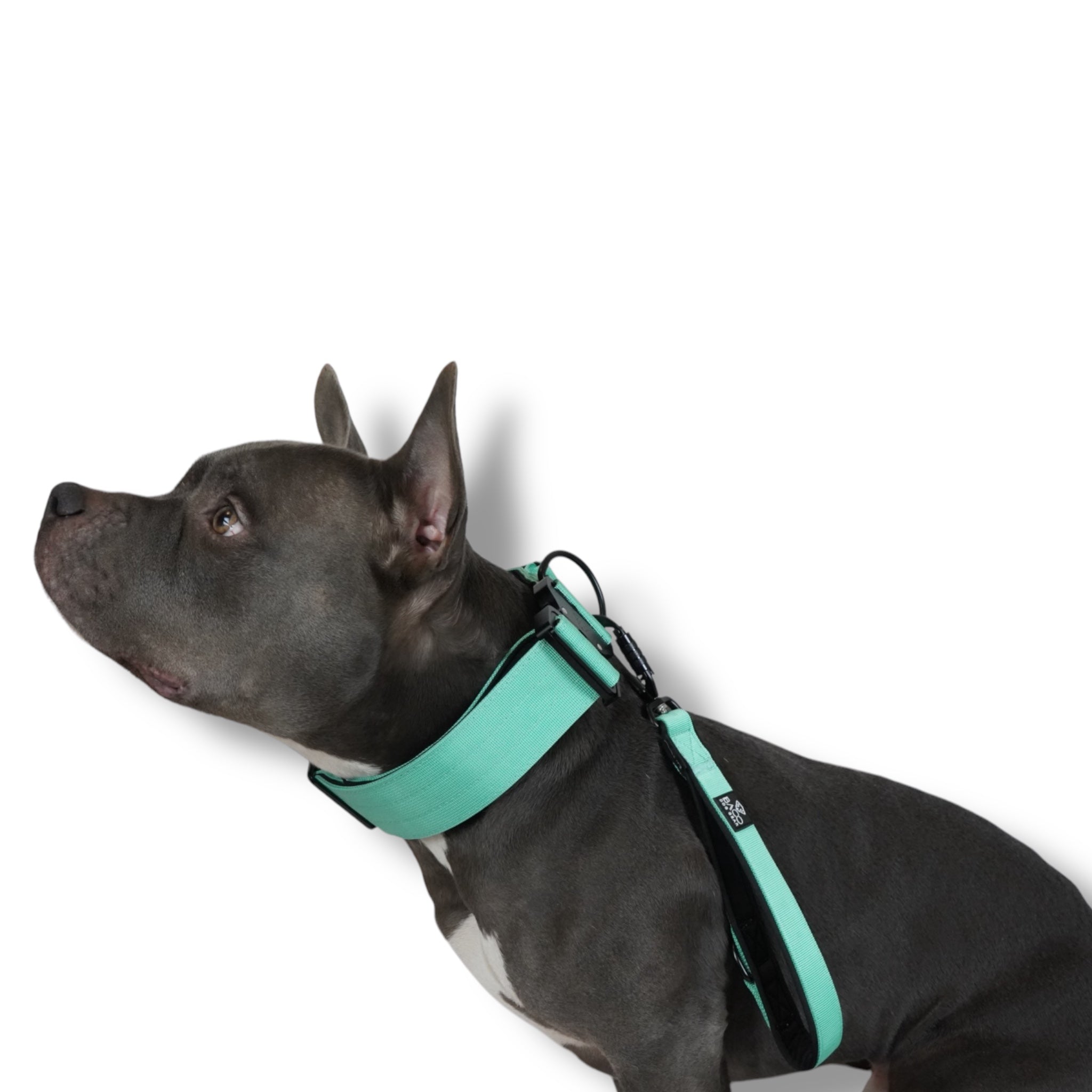 BACO DOG GEAR