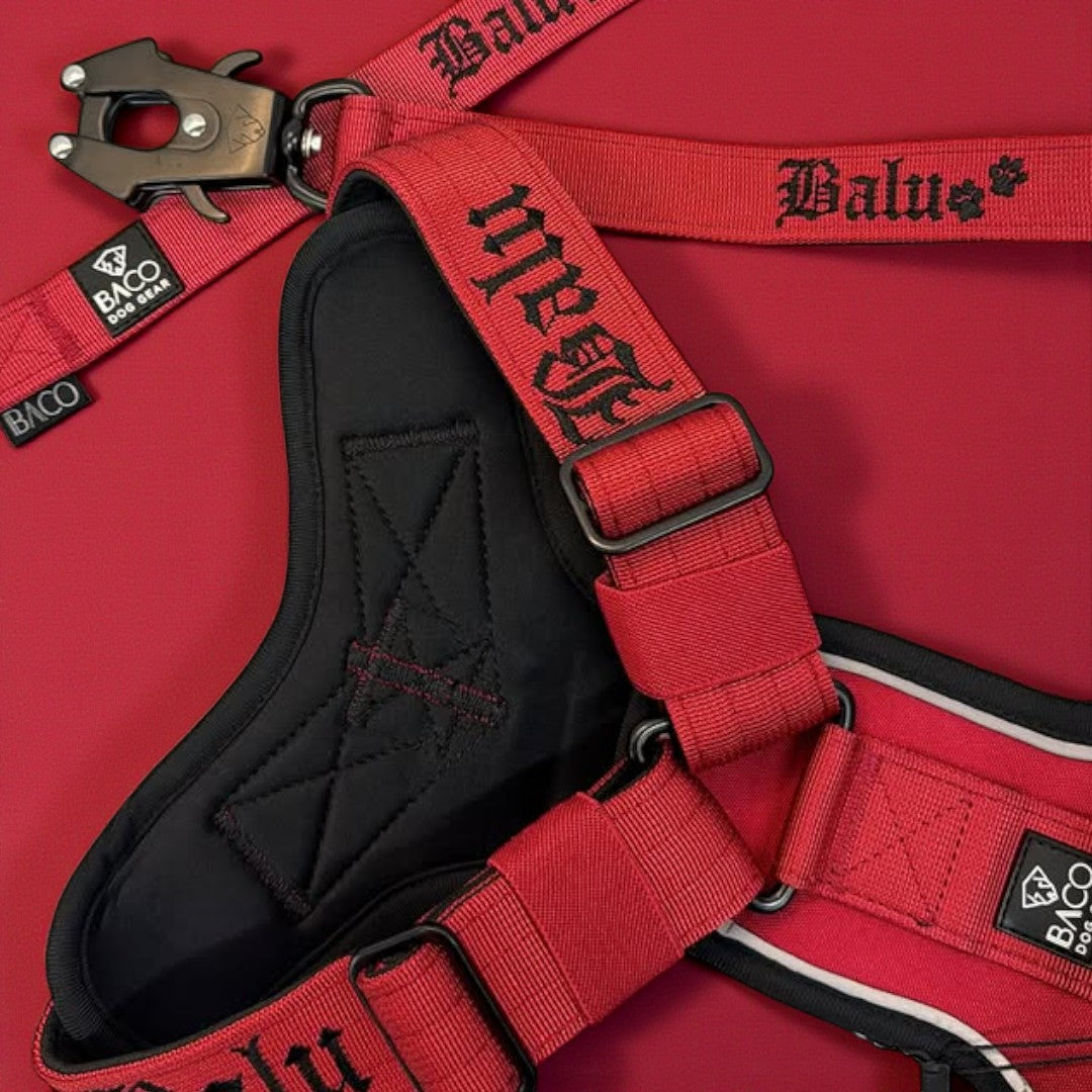 BACO DOG GEAR