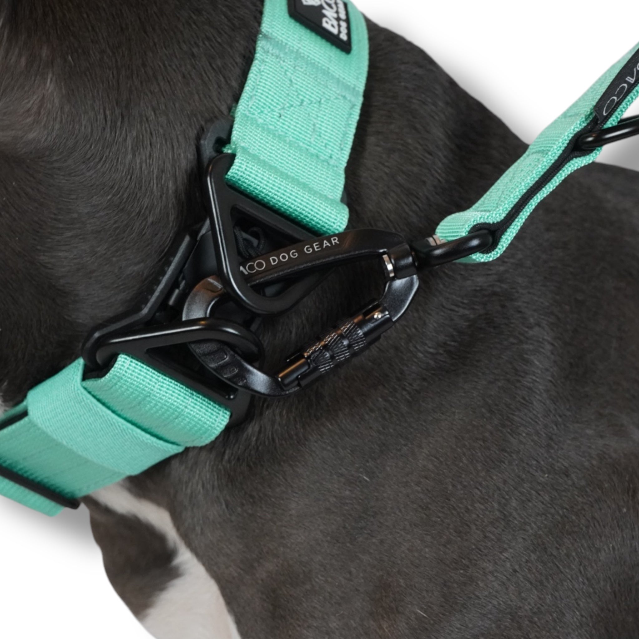 BACO DOG GEAR