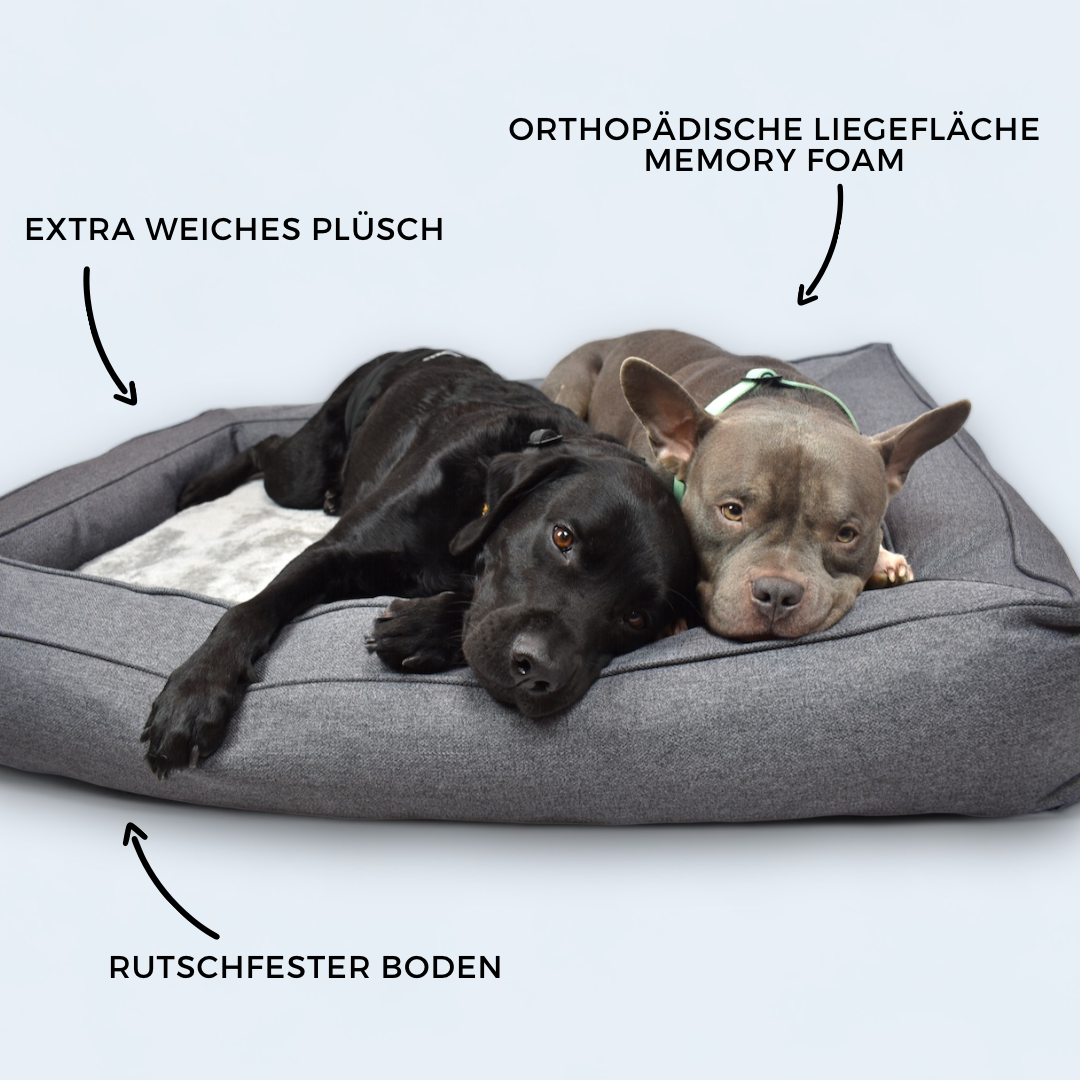BACO DOG GEAR