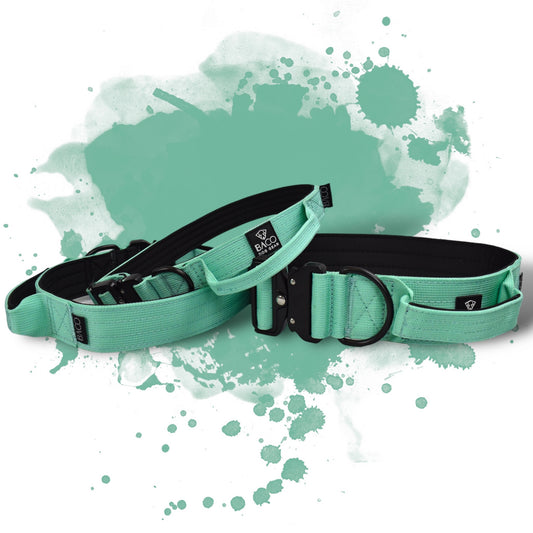 Dog collar BACO Mint Edition