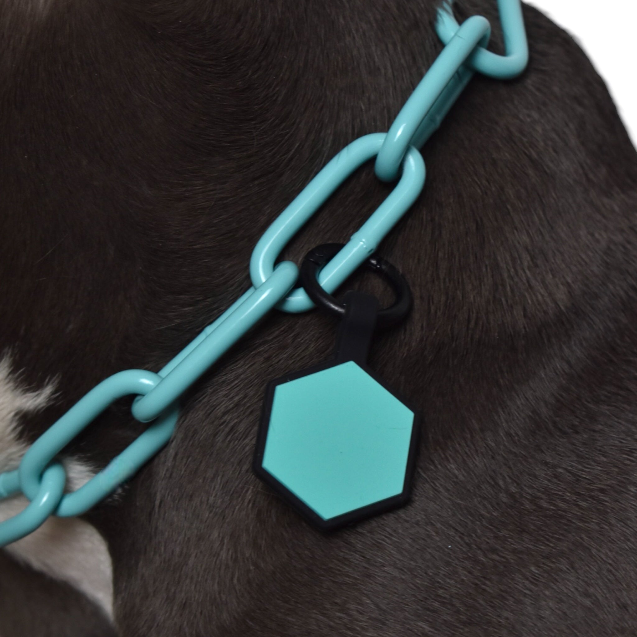 BACO DOG GEAR