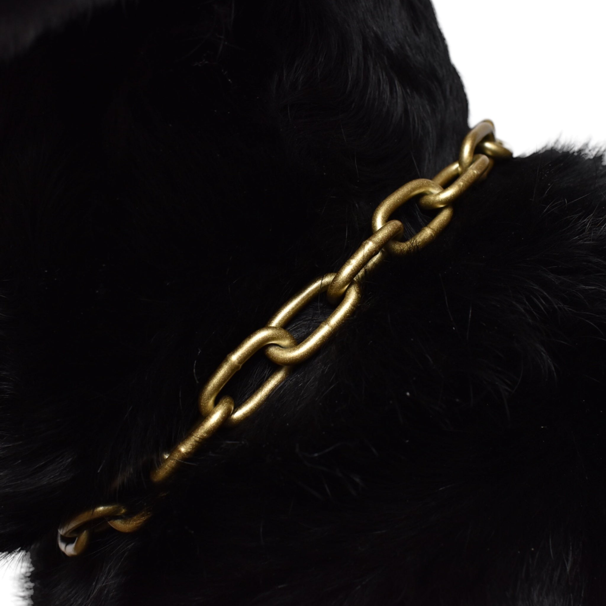BACO DOG GEAR