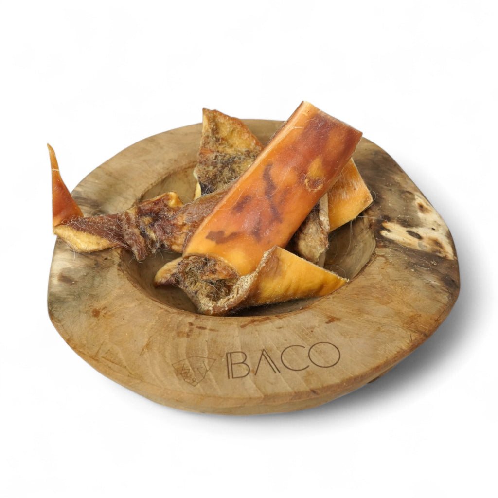 BACO DOG GEAR