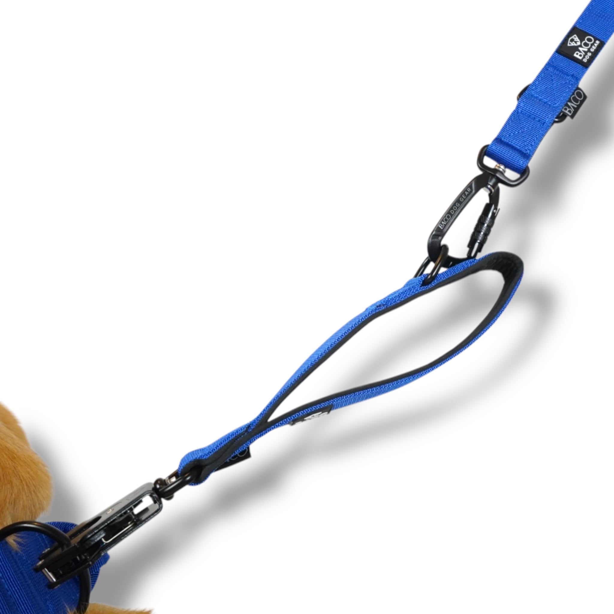 BACO DOG GEAR