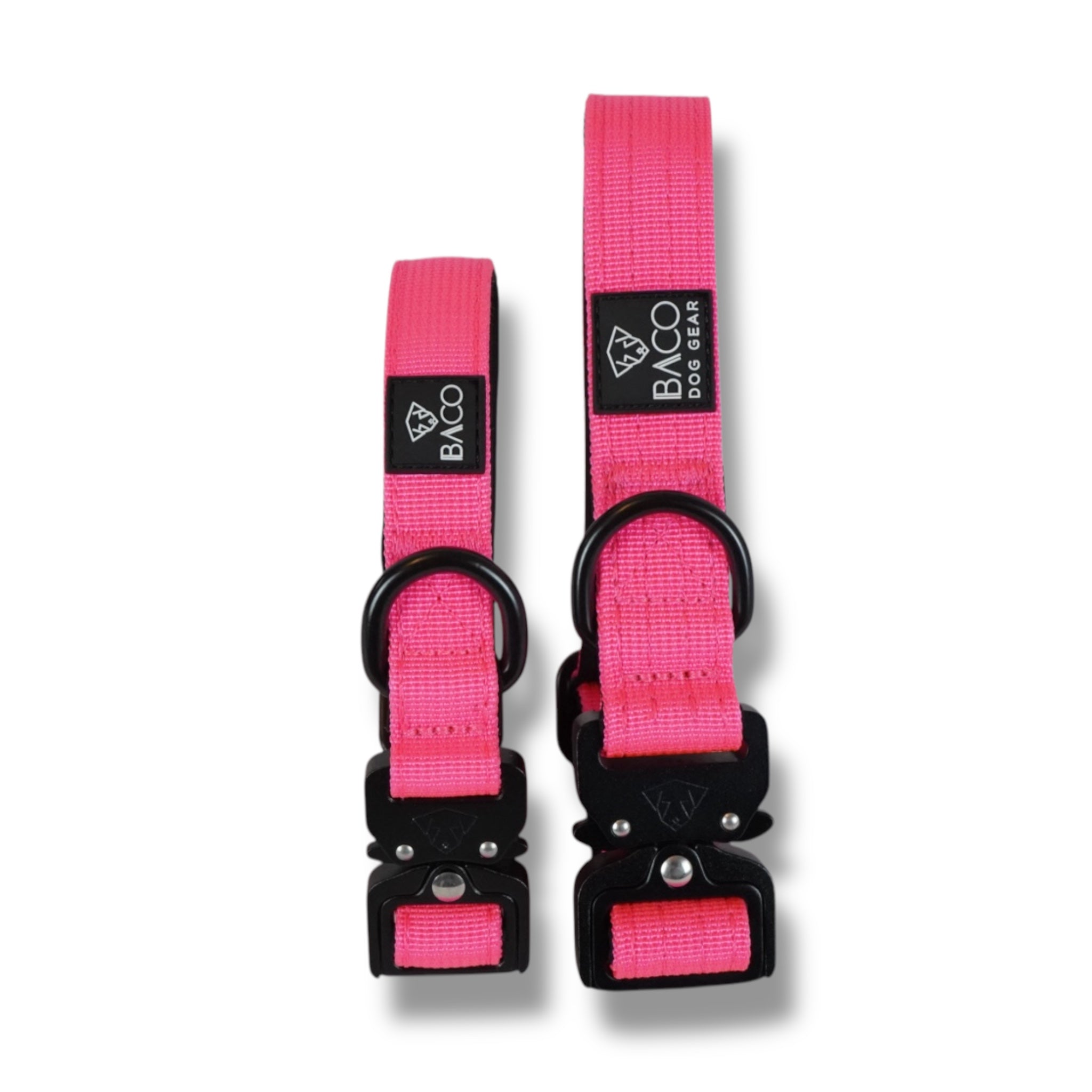 BACO DOG GEAR