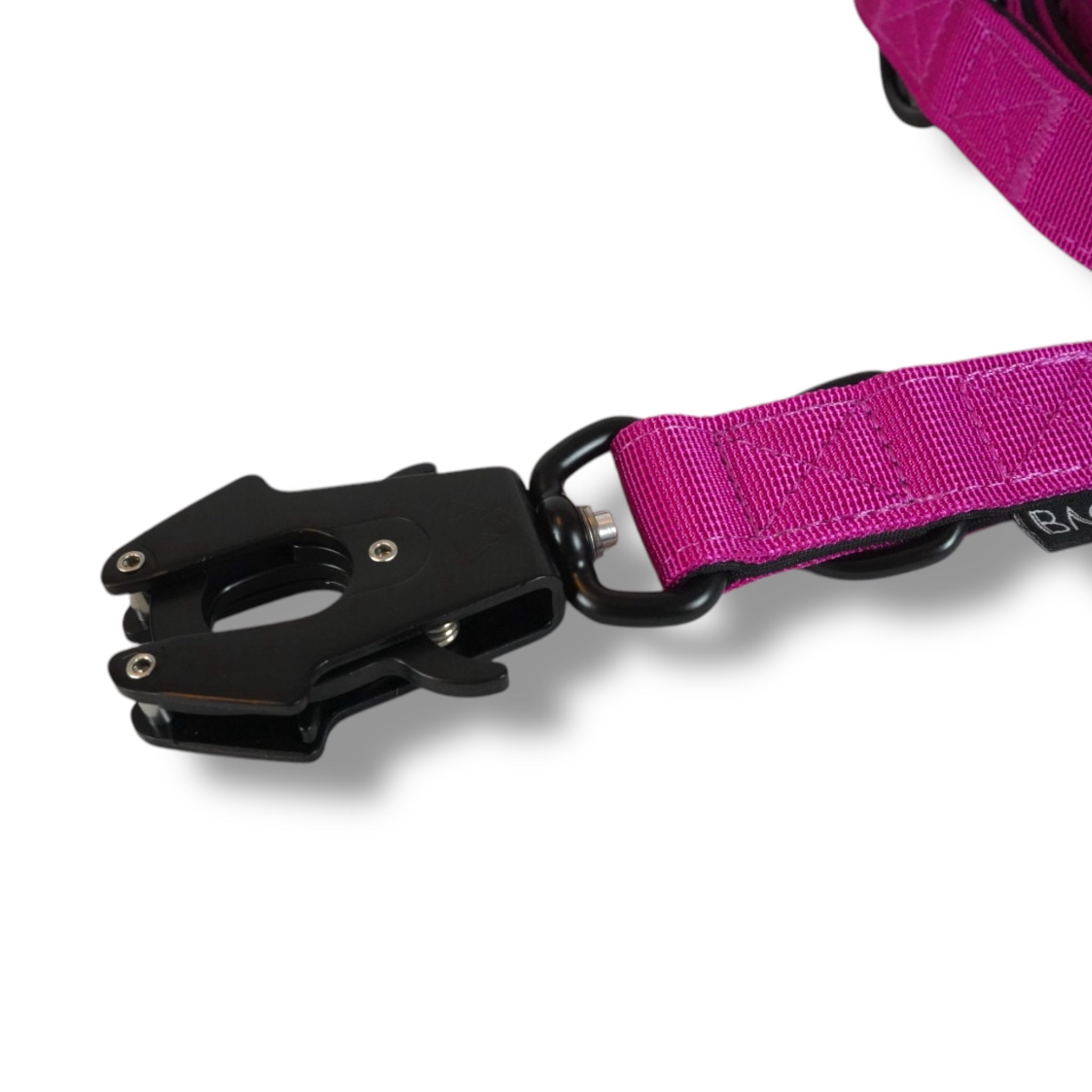 BACO DOG GEAR