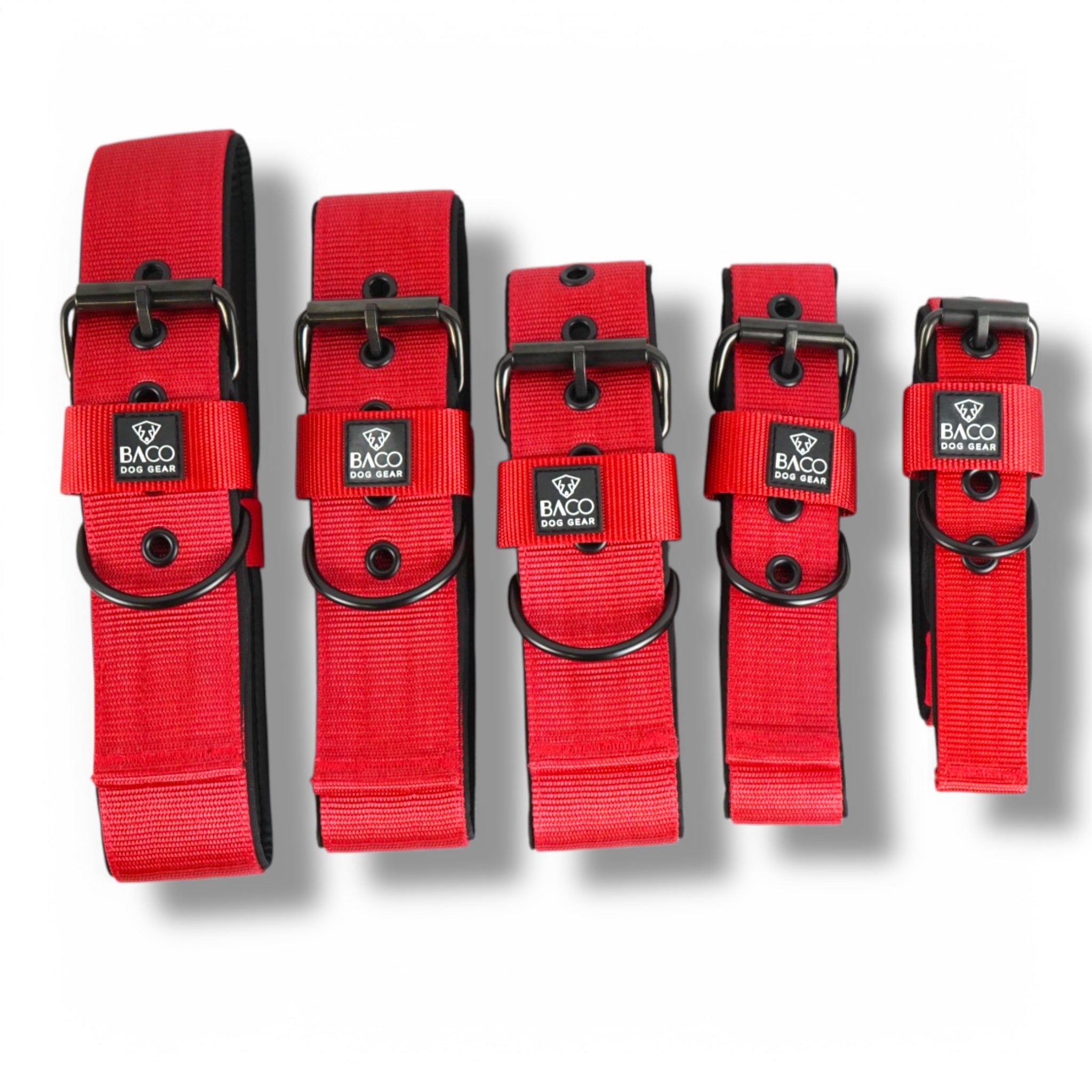 BACO DOG GEAR