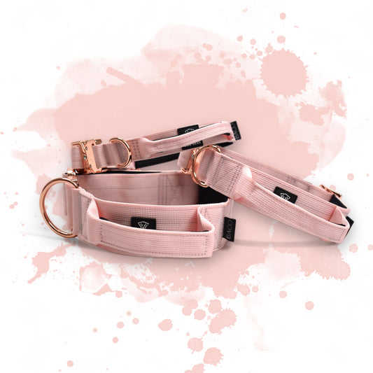 Dog collar BACO Rose Gold