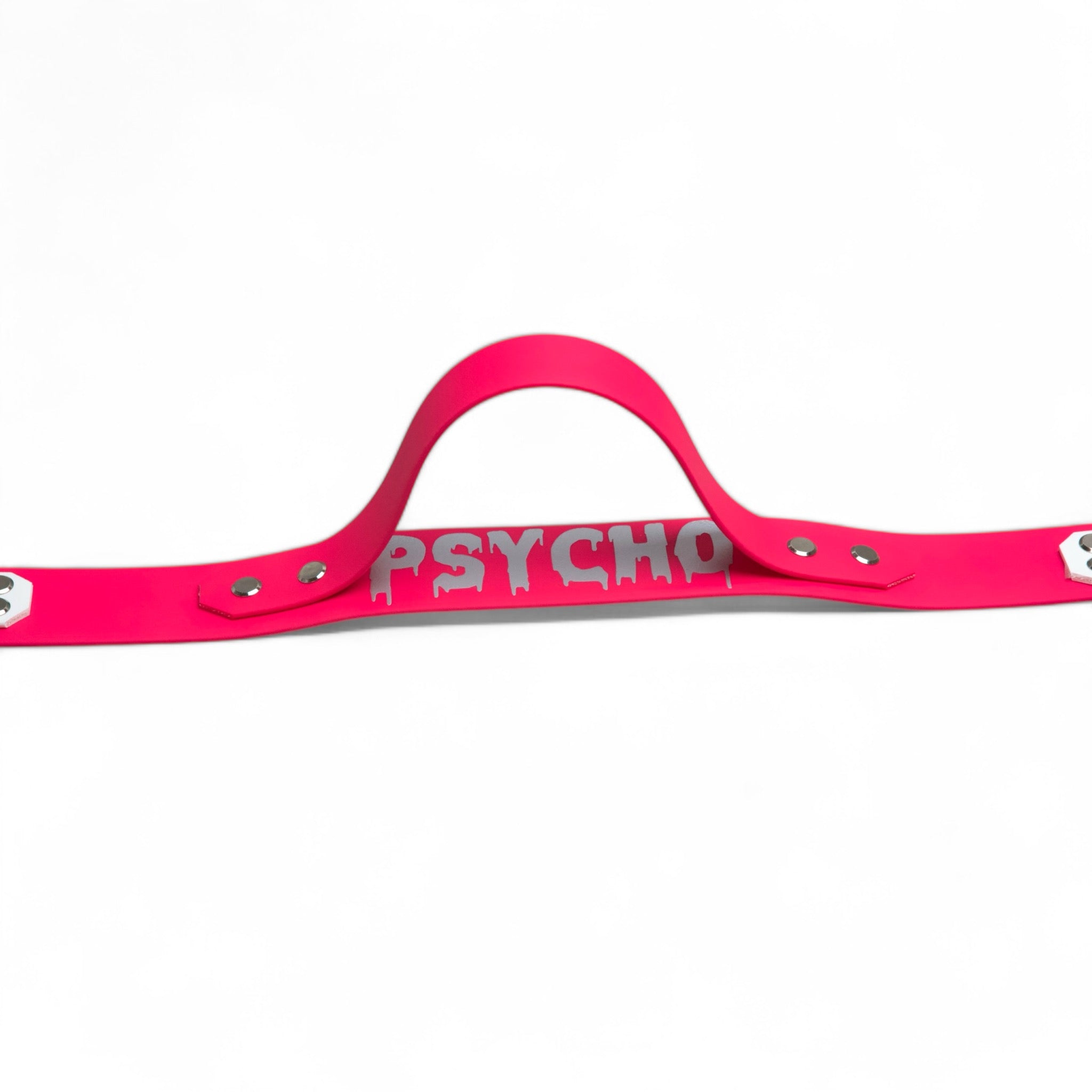 BACO DOG GEAR