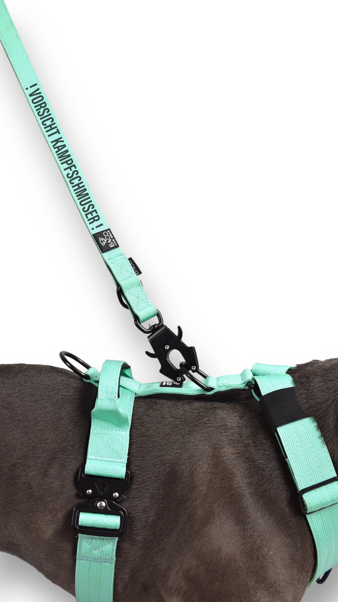 Dog leash BACO Mint Edition