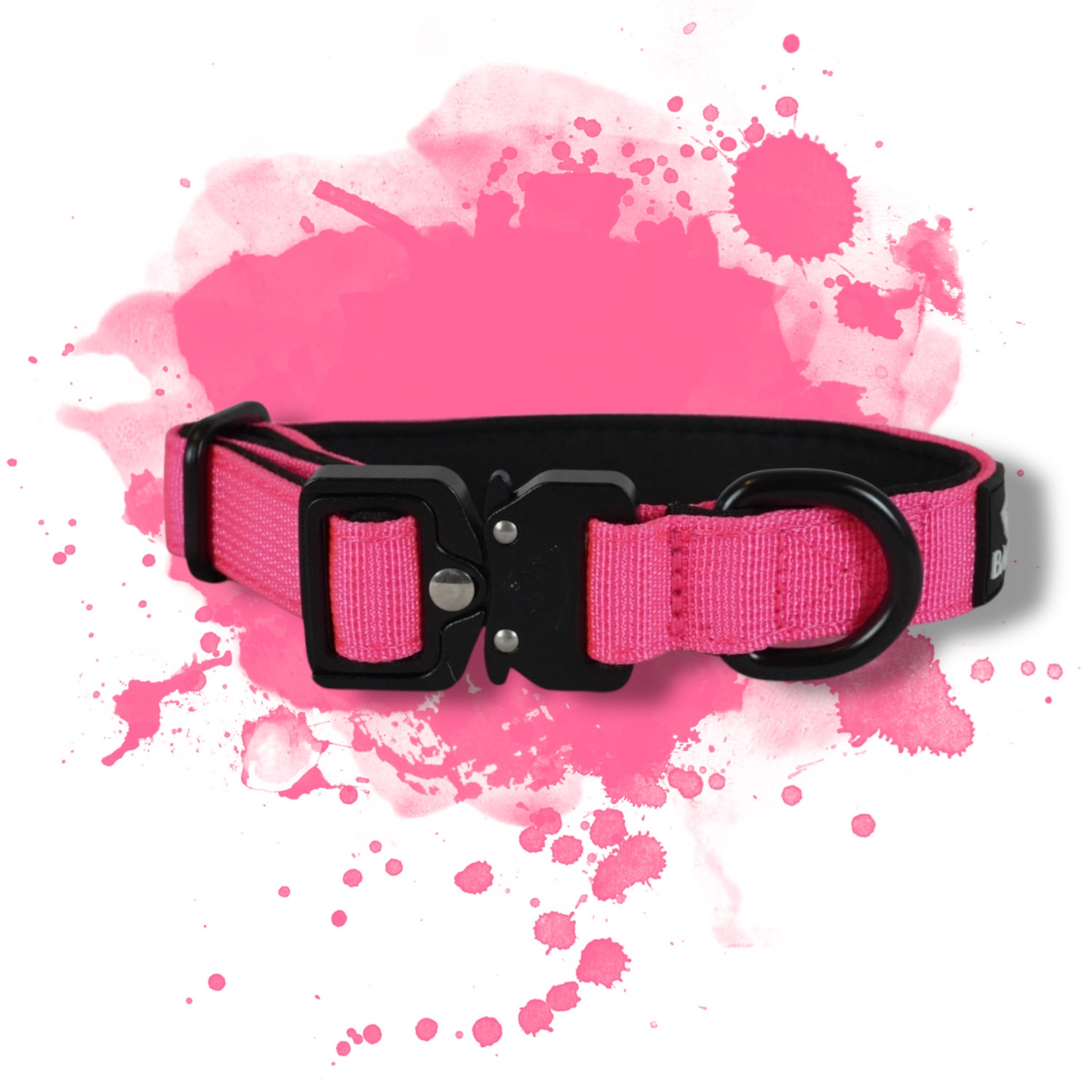 BACO DOG GEAR