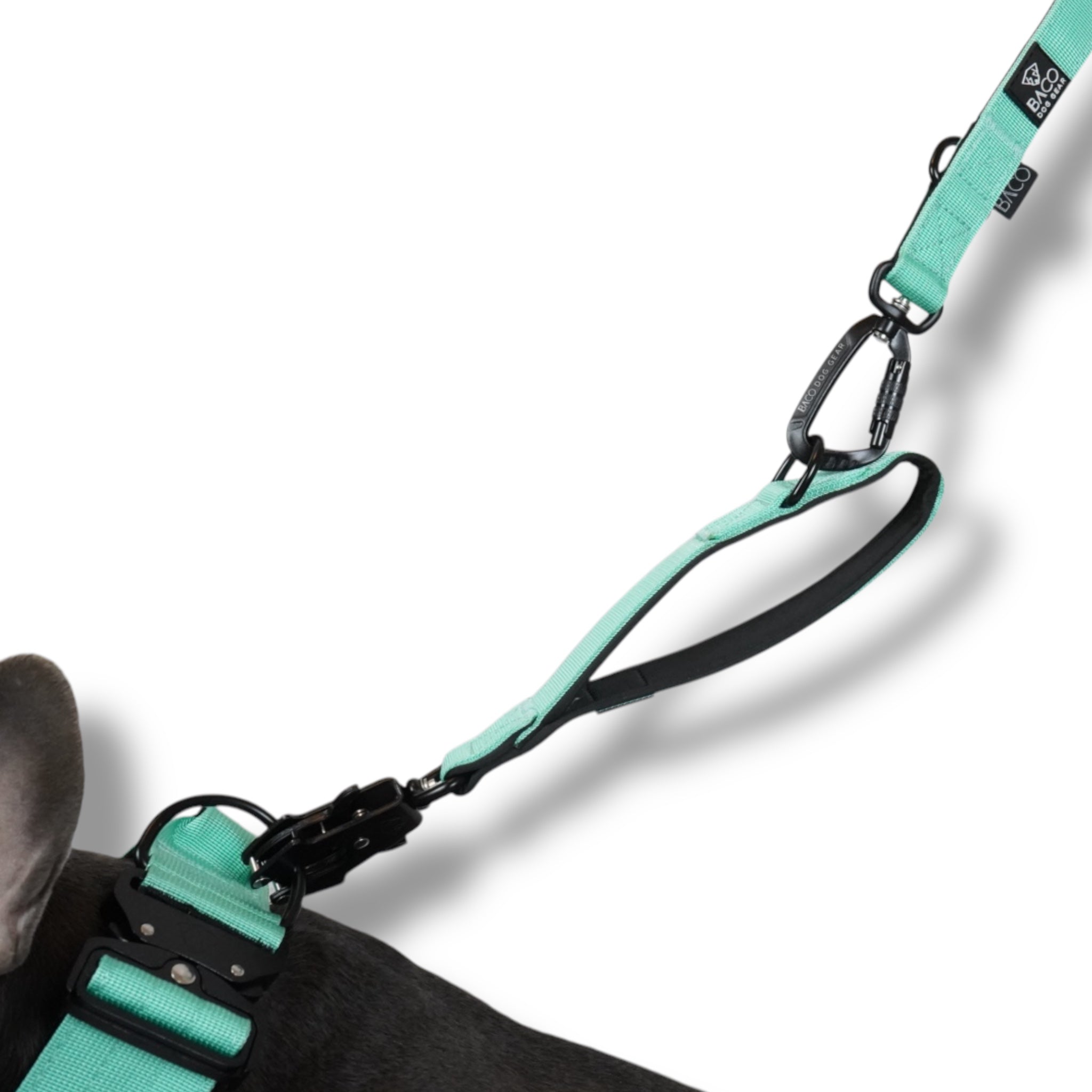 BACO DOG GEAR