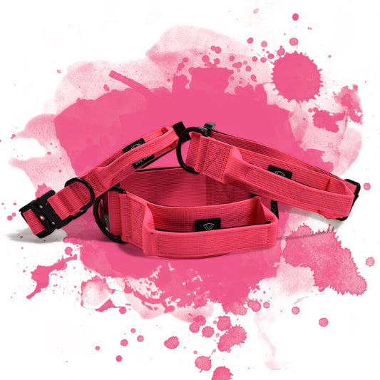 Dog collar BACO neon pink