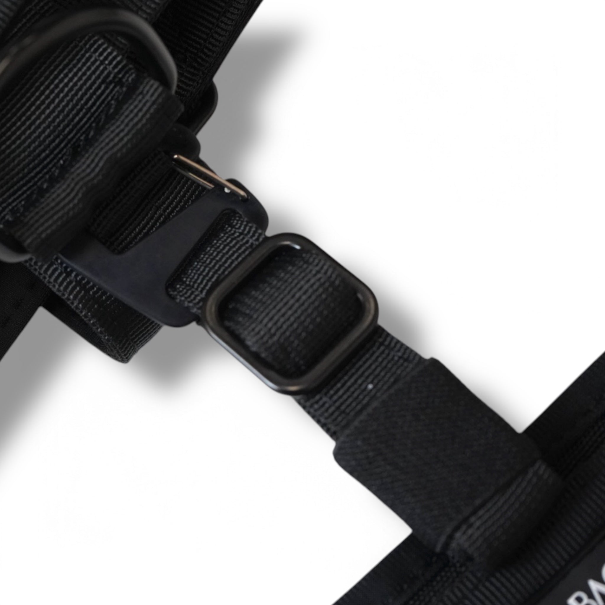 BACO DOG GEAR