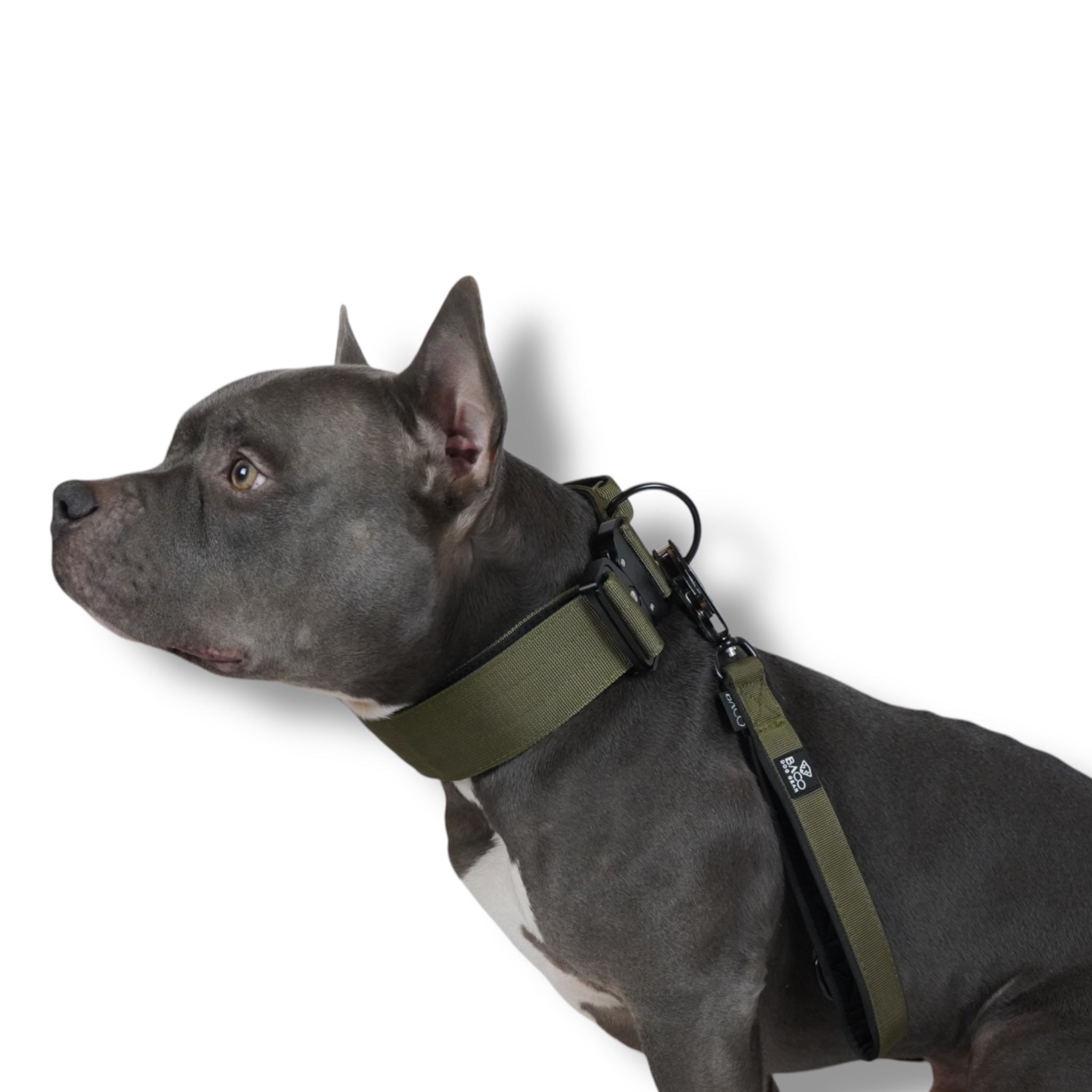 BACO DOG GEAR