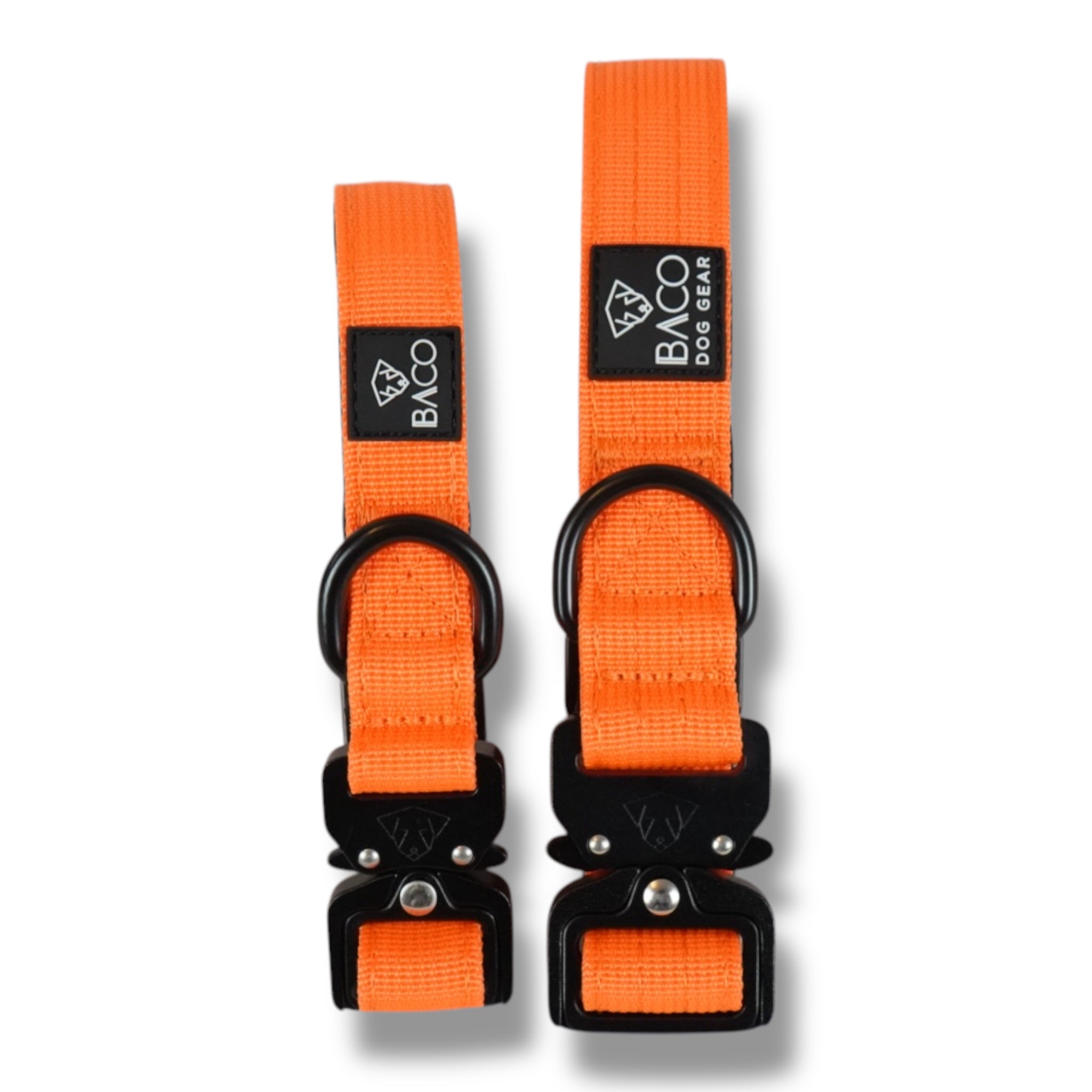 BACO DOG GEAR