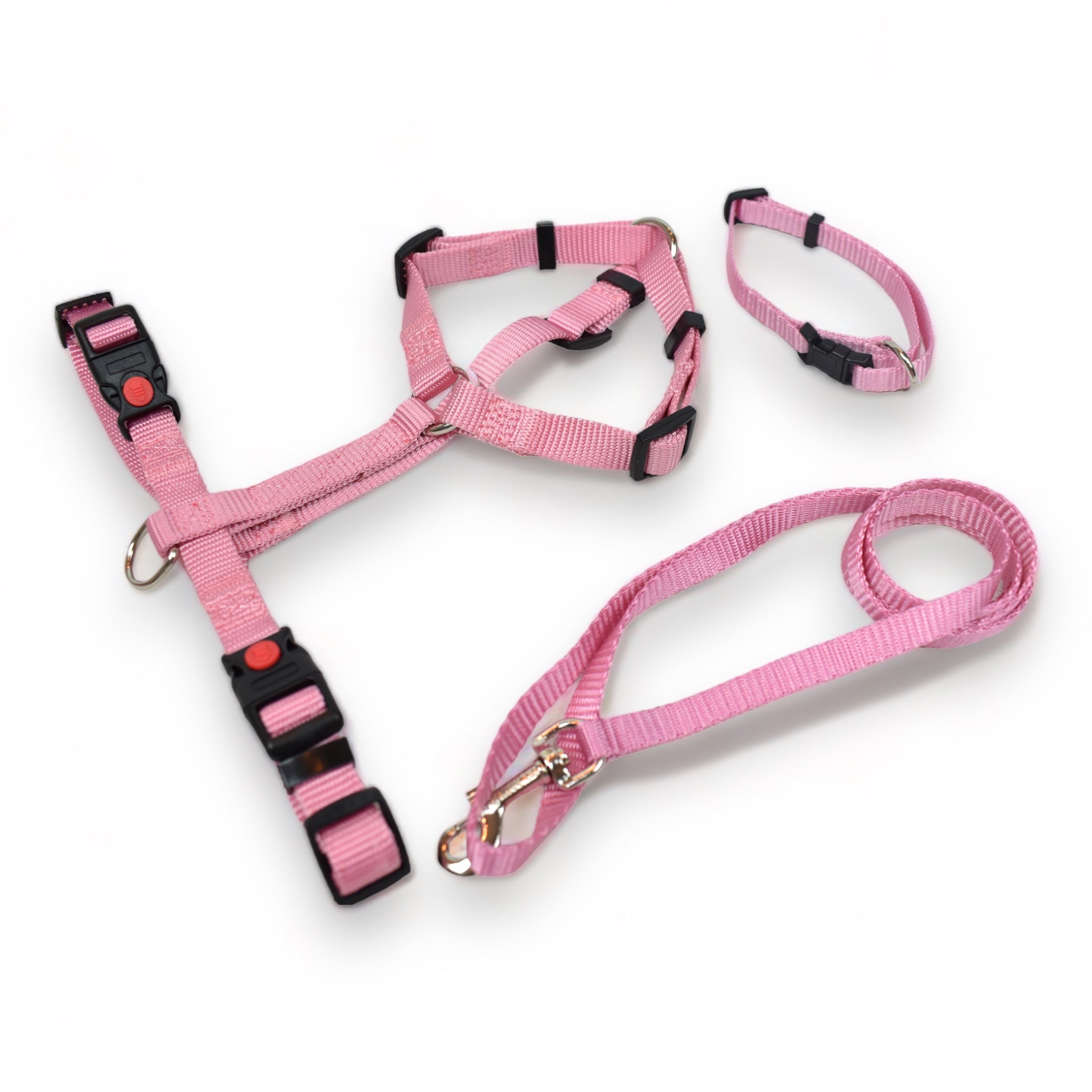 BACO DOG GEAR