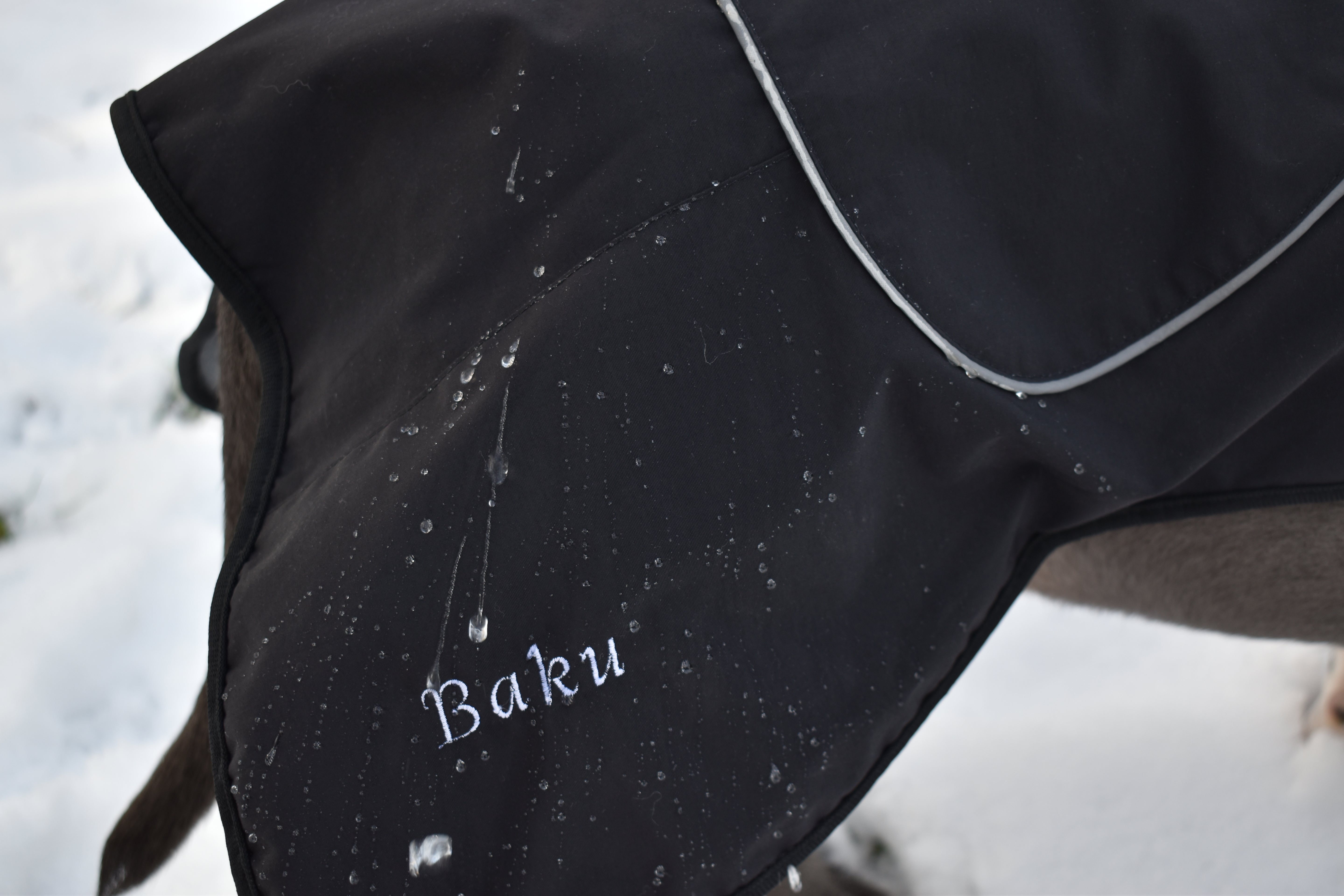 BACO DOG GEAR