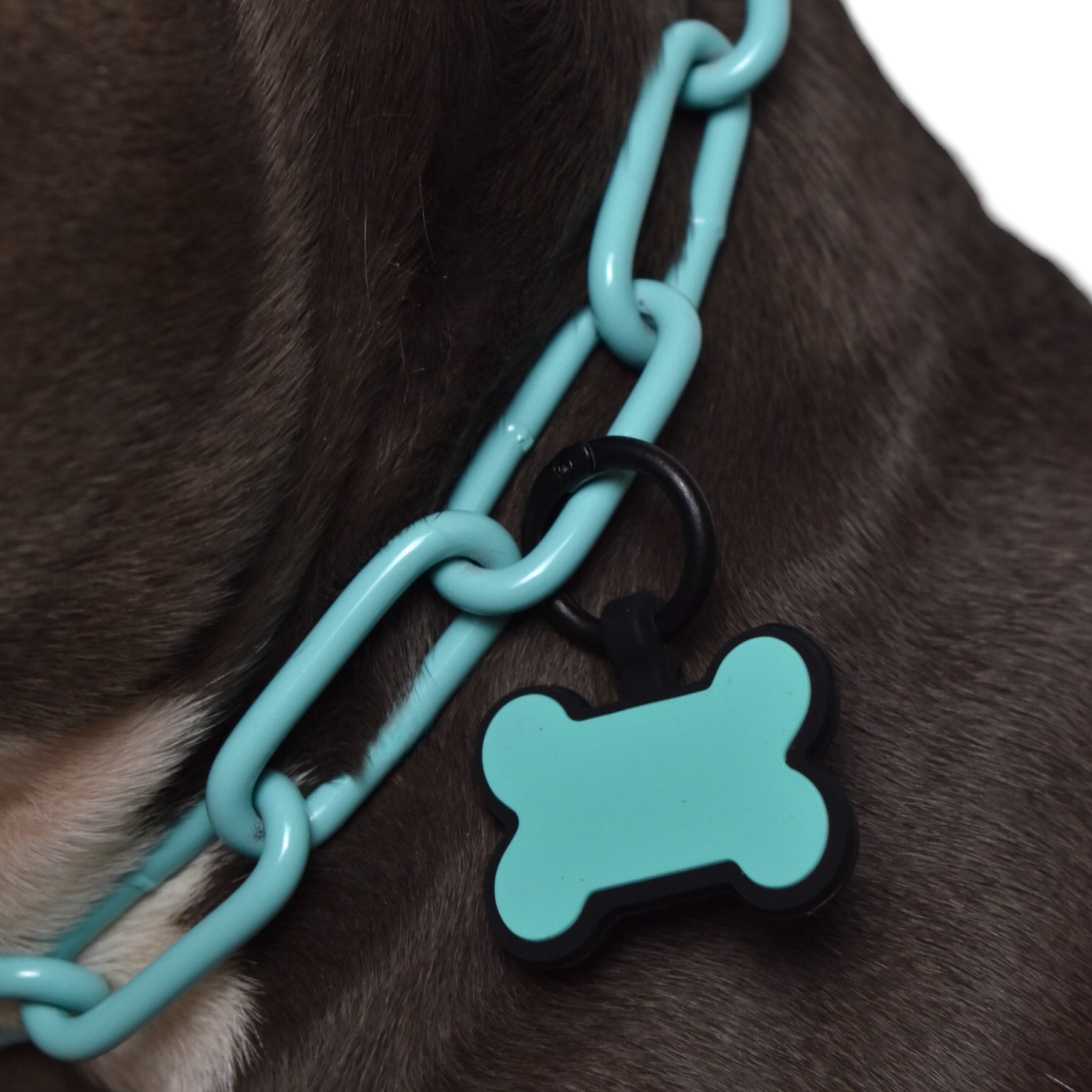 BACO DOG GEAR