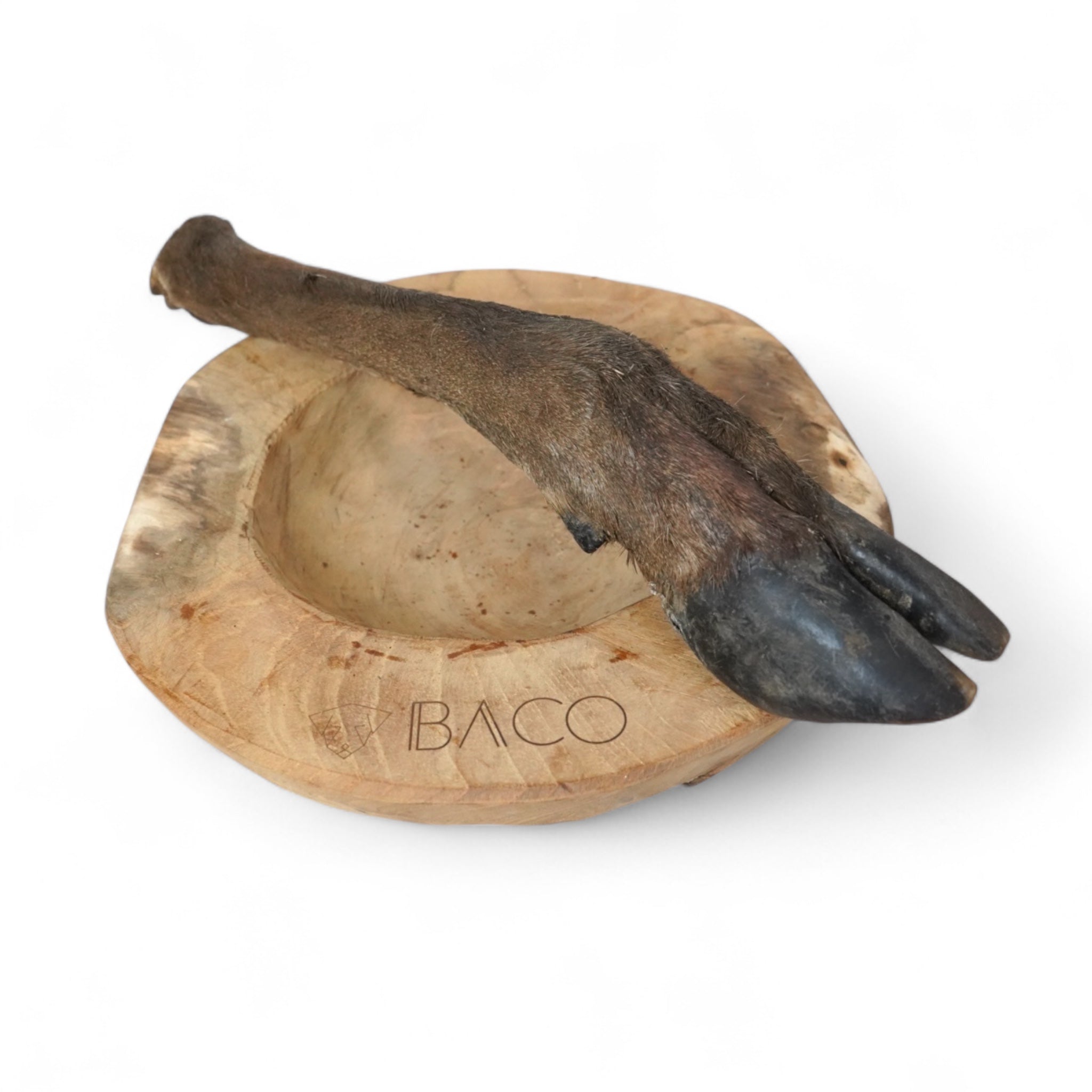 BACO DOG GEAR